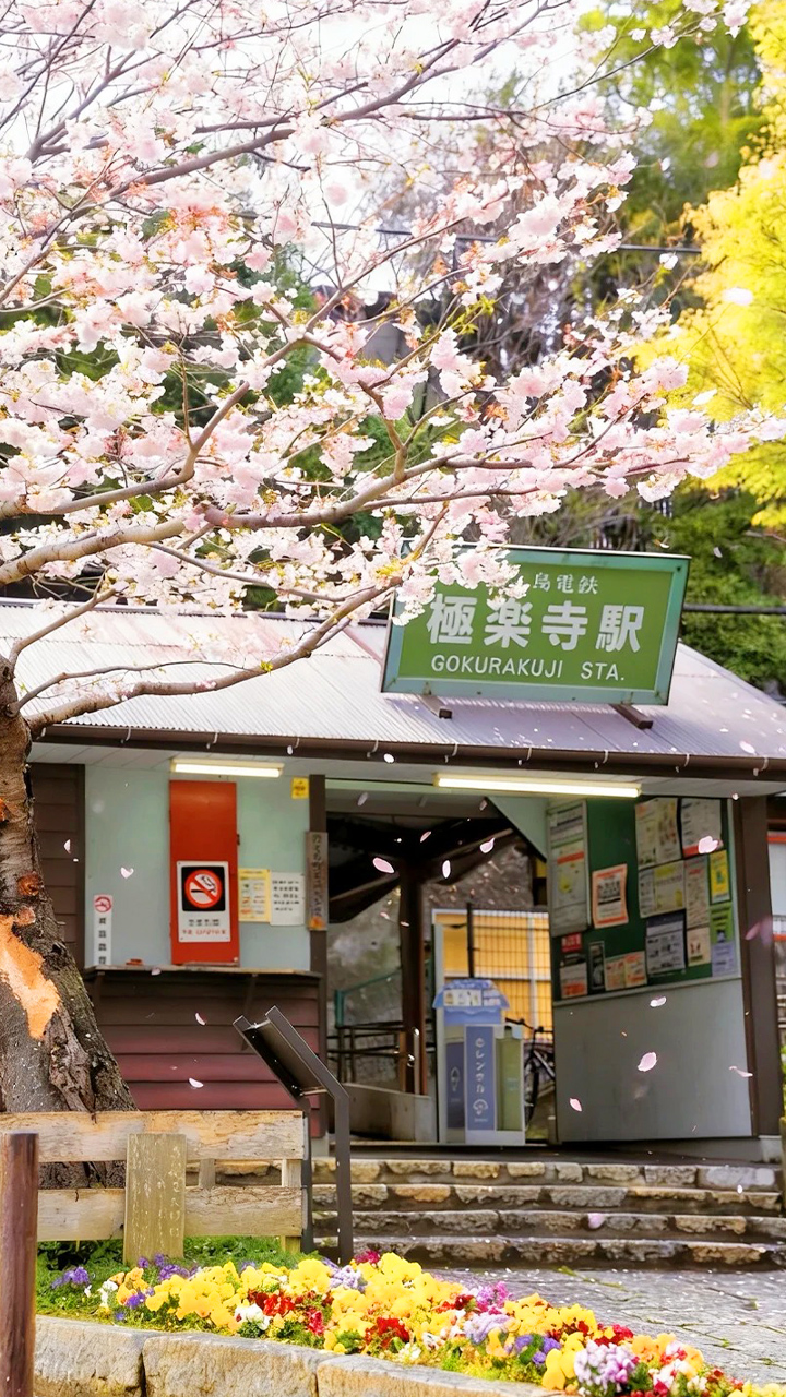 粉白花枝掩映著極樂寺站綠牌,小巧站舍溫馨靜謐,春日氣息柔美動人 粉白花枝掩映著極樂寺站綠牌,小巧站舍溫馨靜謐,春日氣息柔美動人