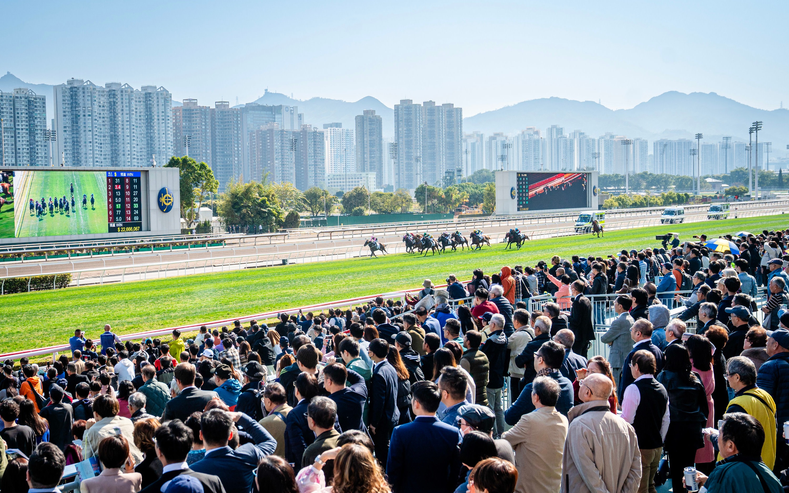 Hong Kong Horse Racing: Catch The Pulse
