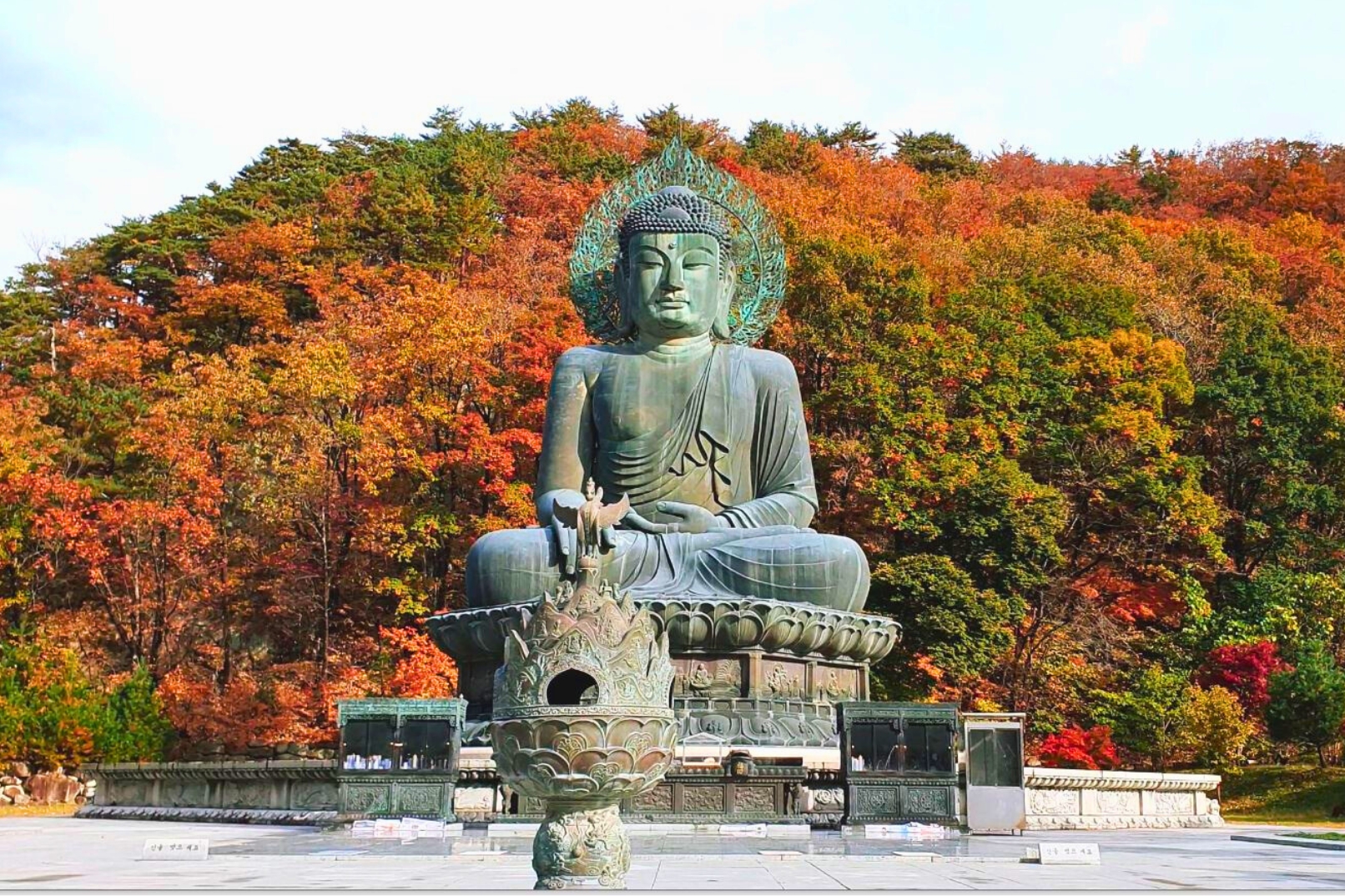 探索韓國最古老的禪寺之一——擁有超過1,000年歷史的新興寺 (Sinheungsa Temple),感受金紅色 foliage 與古老佛寺建築交織而成的絕美景致。 探索韓國最古老的禪寺之一——擁有超過1,000年歷史的新興寺 (Sinheungsa Temple),感受金紅色 foliage 與古老佛寺建築交織而成的絕美景致。