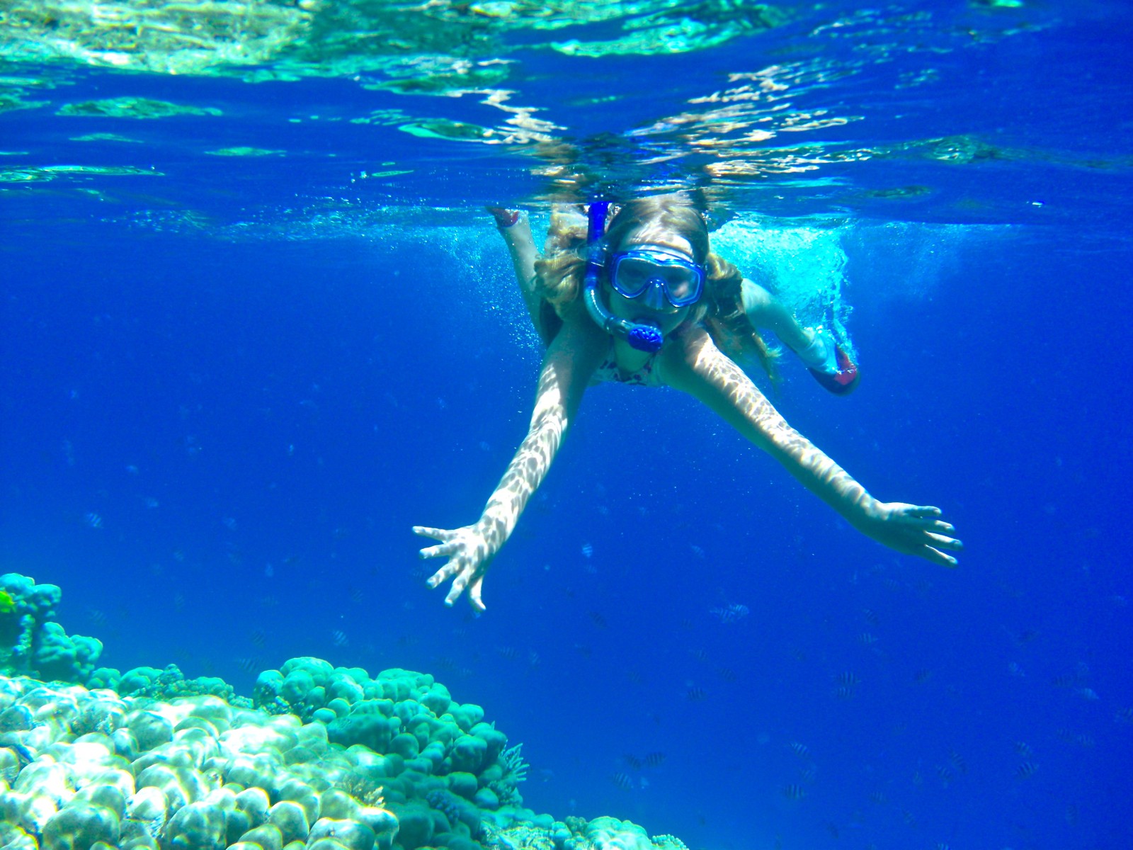 Snorkel Hurghada's Wonders: Full-Day Trip with PADI 5 Star 