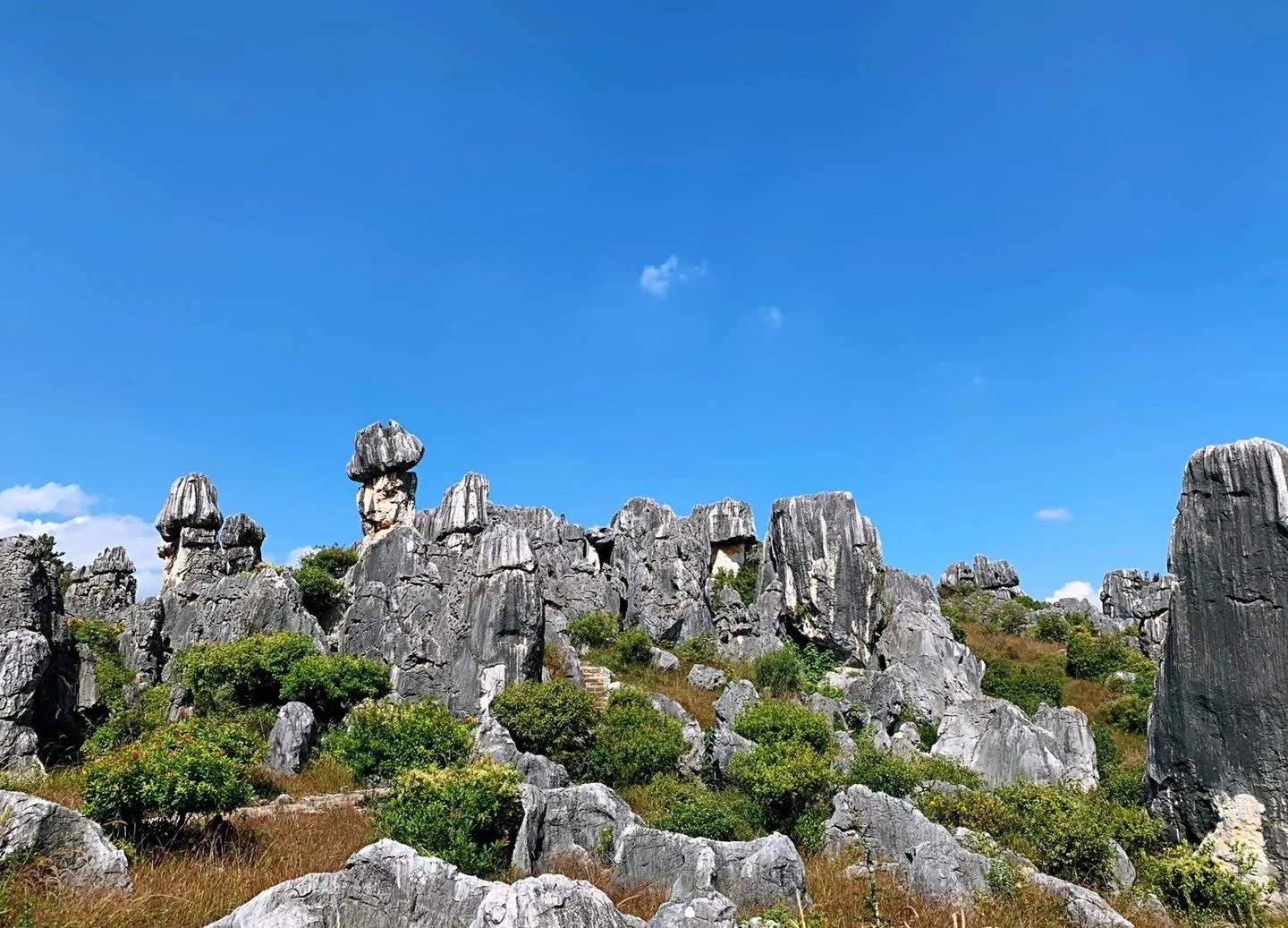 晴空萬里間，石林怪石嶙峋，造型奇特，盡顯喀斯特地貌鬼斧神工