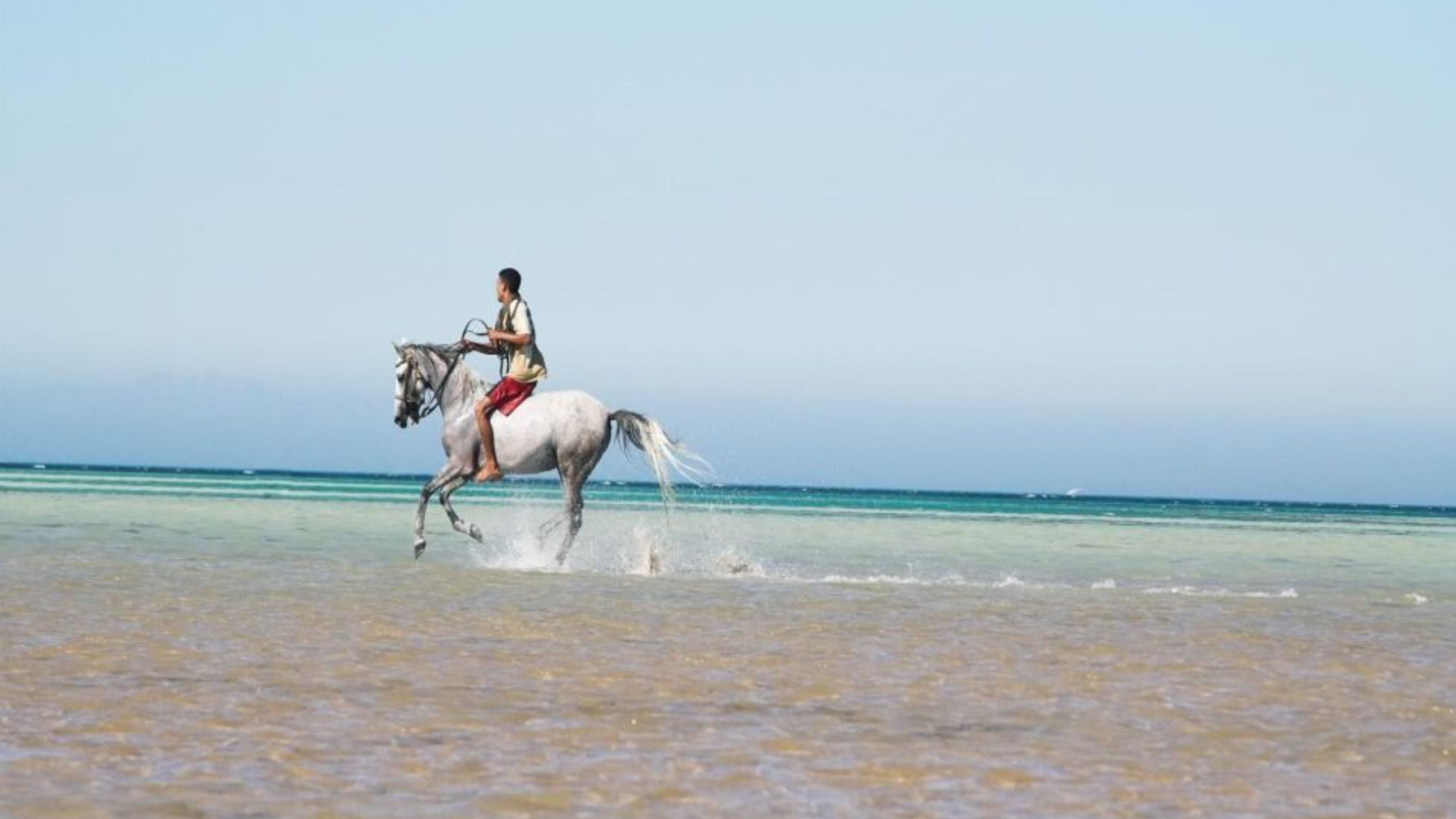 策馬奔馳於赫爾格達廣袤的沙漠平原,開啟難忘之旅 策馬奔馳於赫爾格達廣袤的沙漠平原,開啟難忘之旅