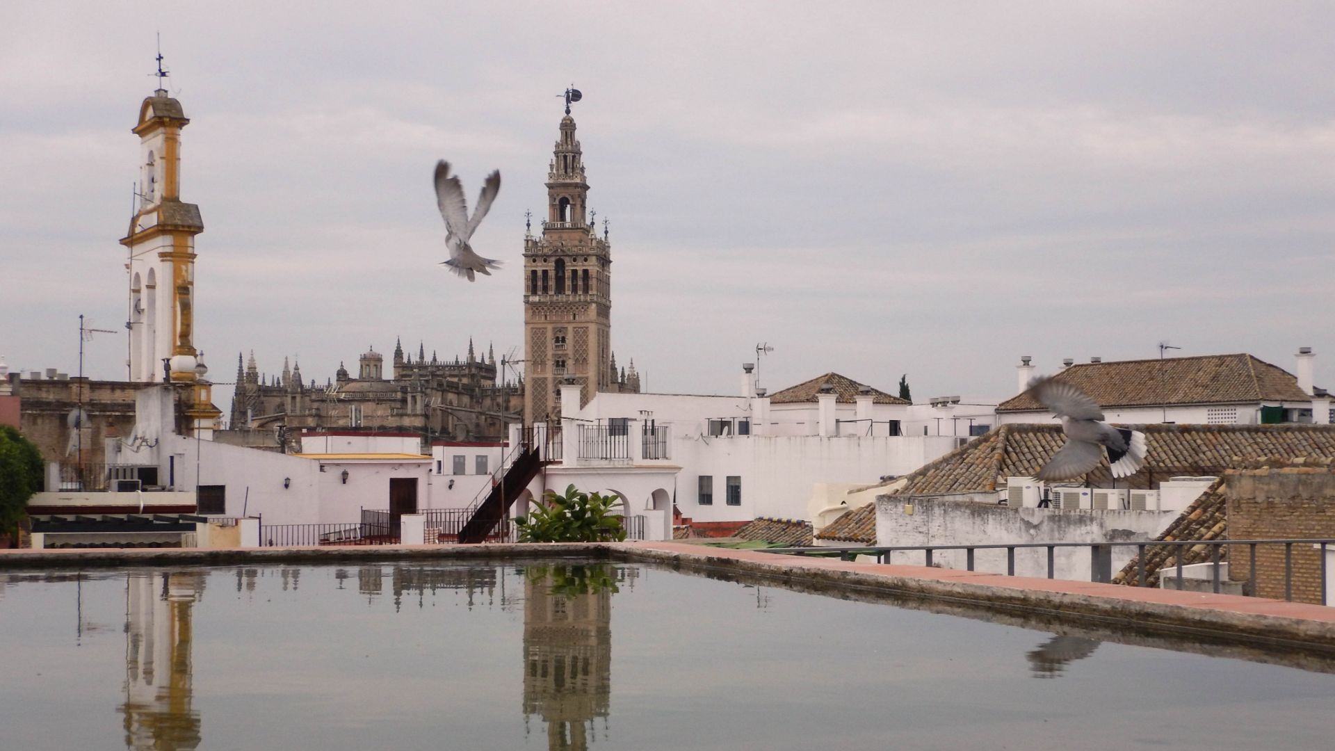 塞維利亞屋頂日落徒步之旅 (Sunset Rooftop Walking Tour in Seville)