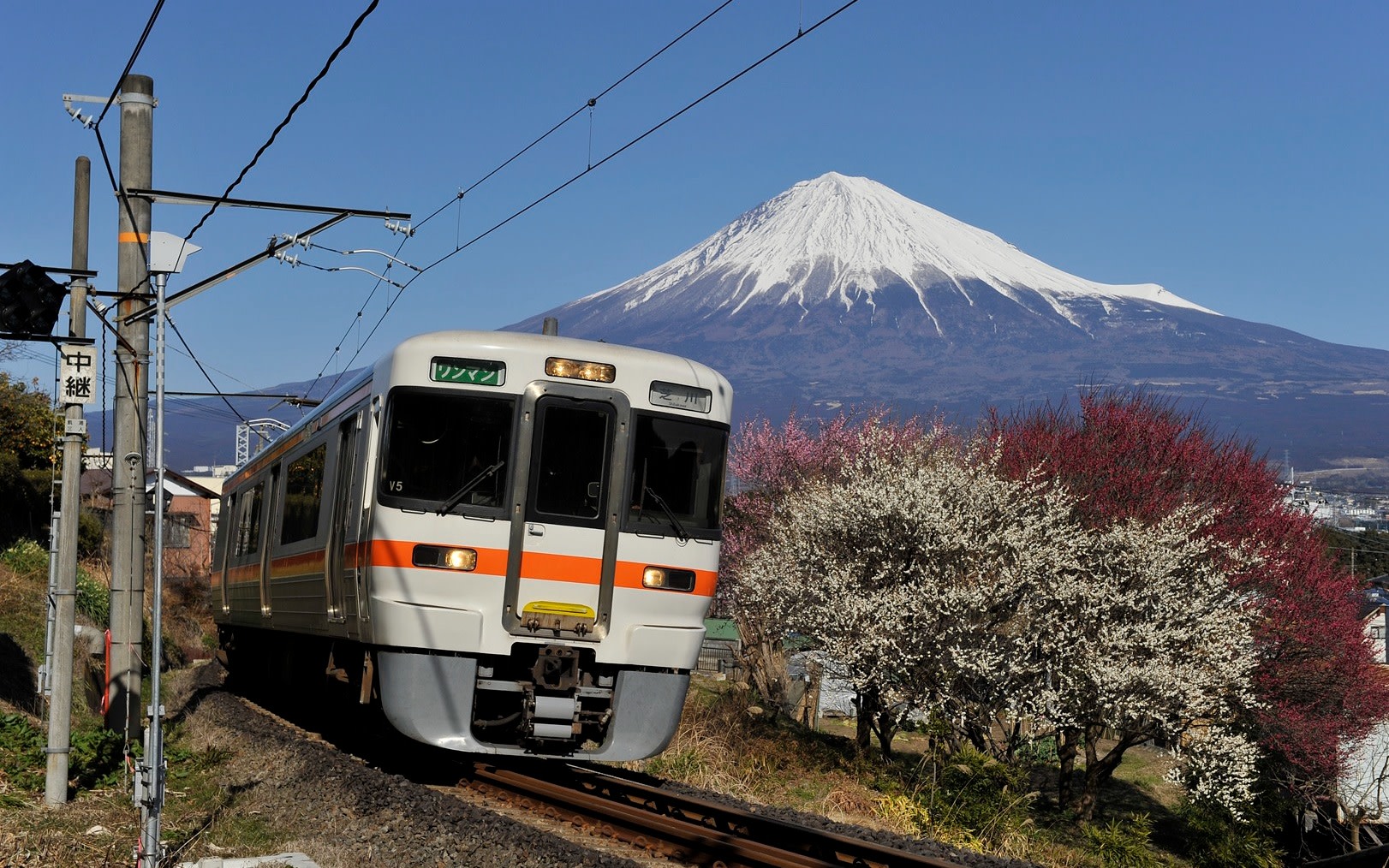 Mt Fuji, Shizuoka Wasabi Farm Tour with Hokusai Train & Bullet Train
