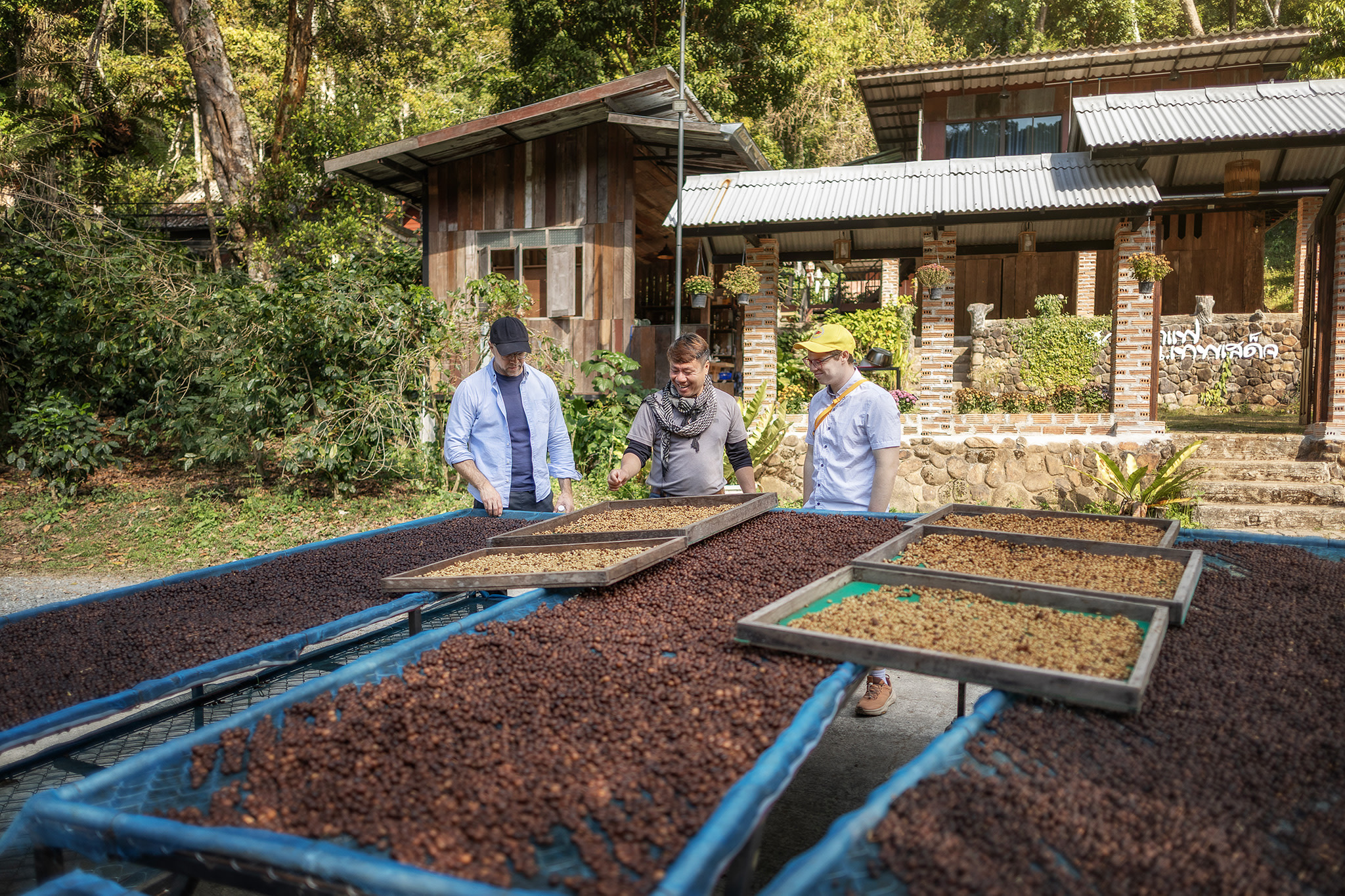 Chiang Mai: Coffee Process & Tasting - From Cherry to Cup