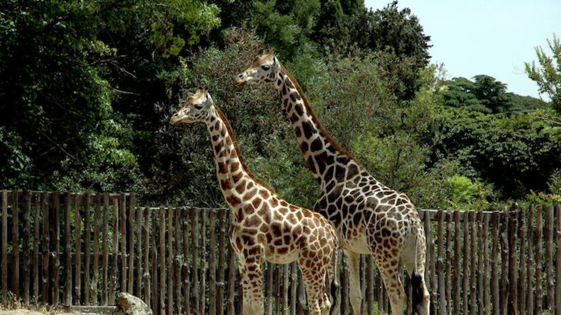Connect with nature while enjoying a day full of adventure and fun