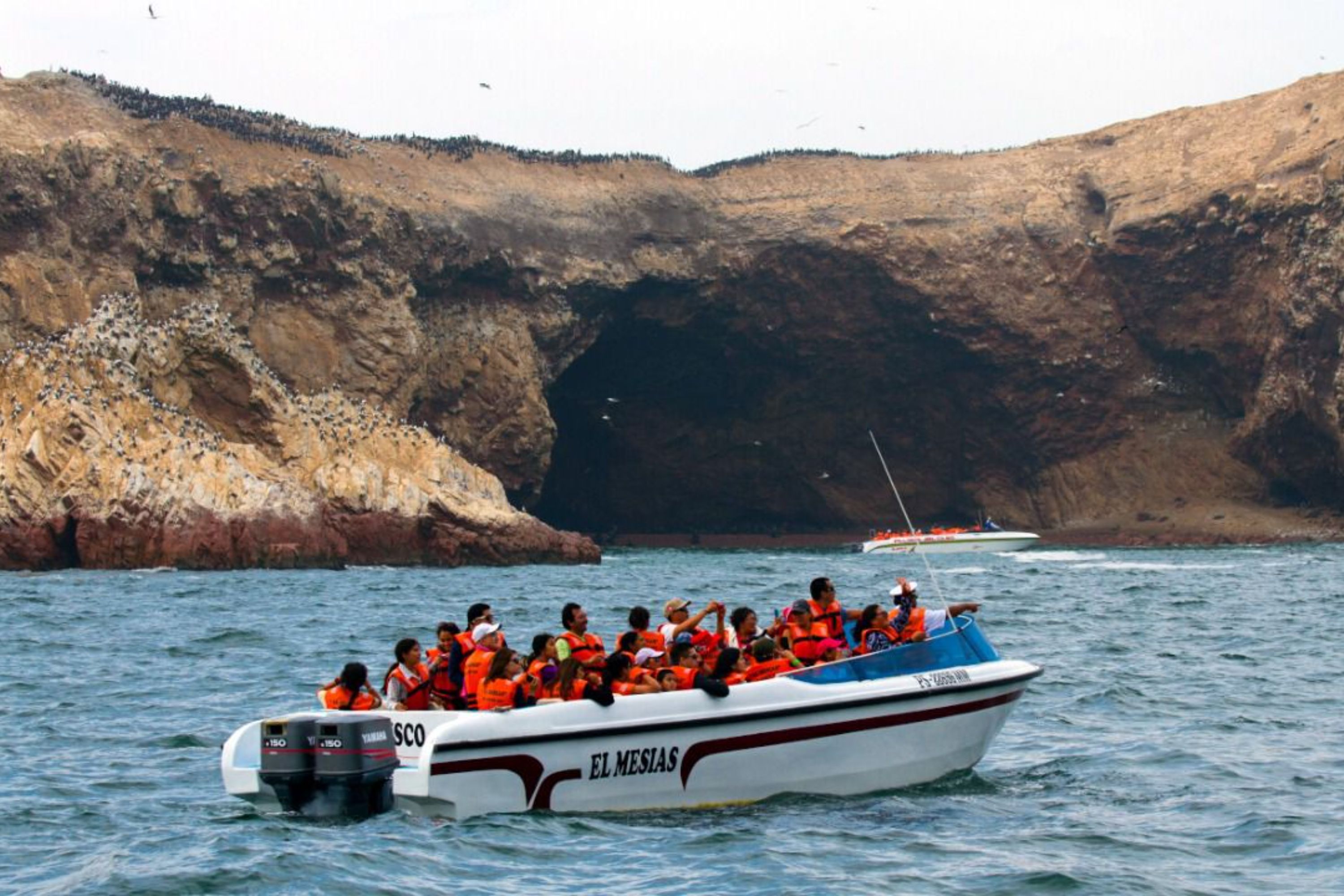 Enjoy the sea breeze as you hop on a boat ride to see the sea lions