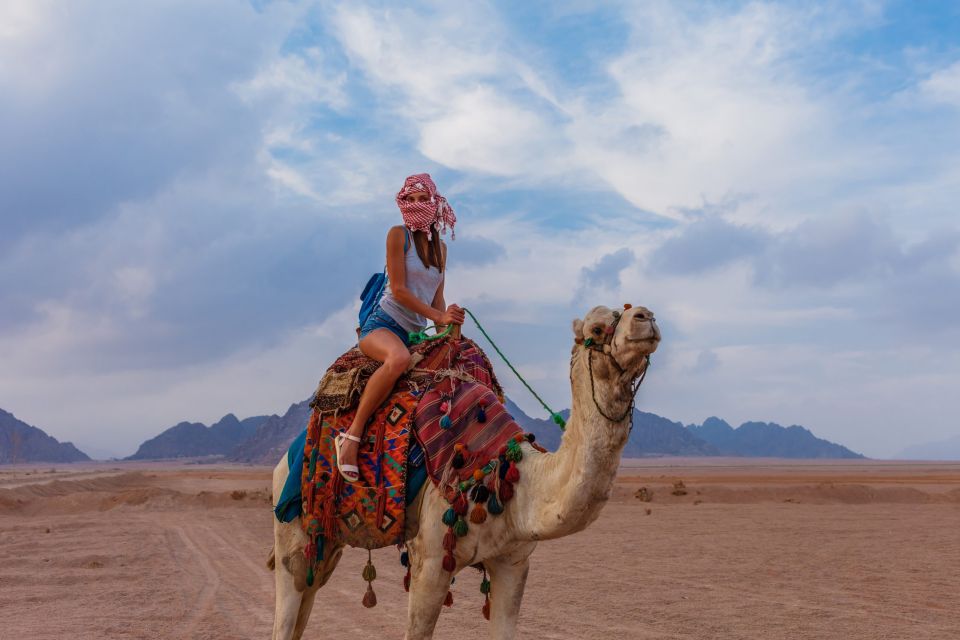 Marsa Alam: Desert Stargazing Tour with Camel Ride & Dinner