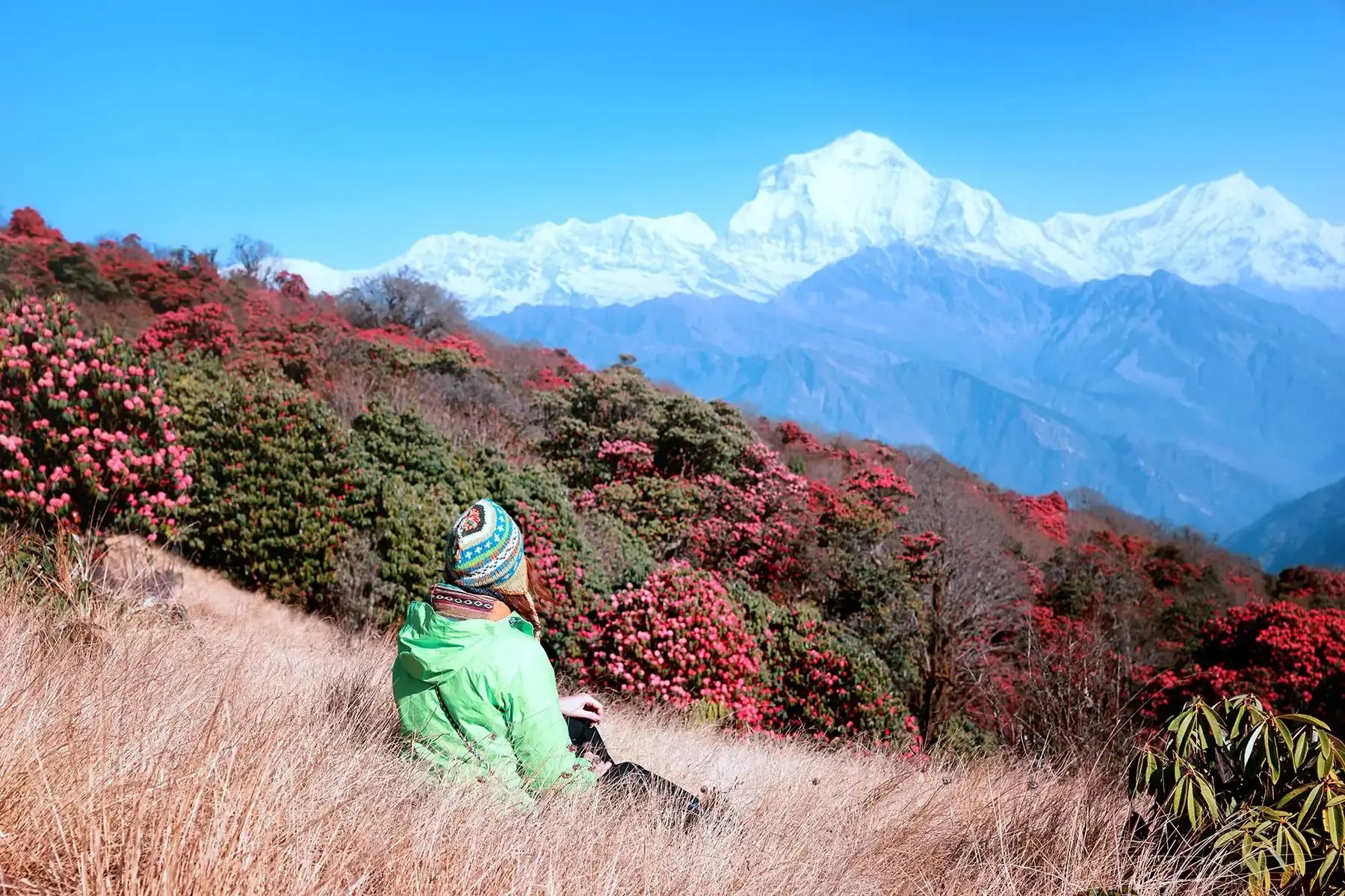 博卡拉：4 天私人 Ghorepani Poonhill 徒步旅行