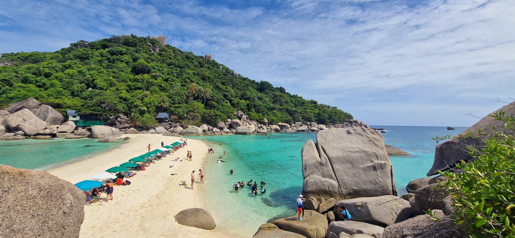 濤島：私人長尾浮潛之旅，含Nang Yuan遊覽