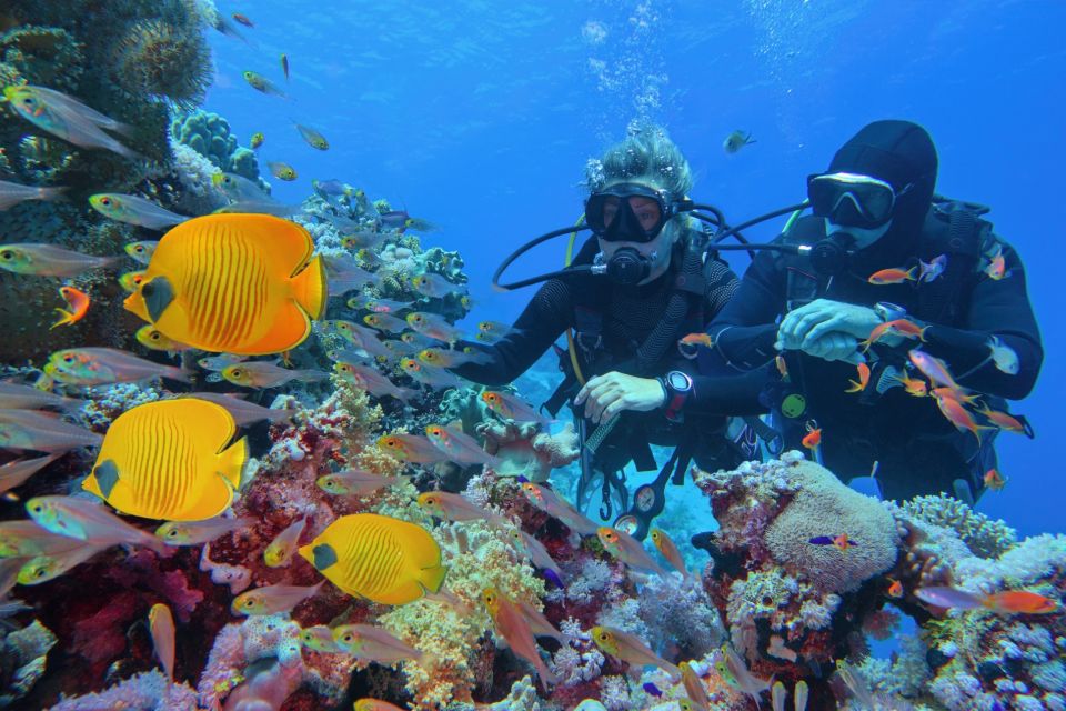 Sharm: Ras Mohamed Diving Boat Trip with Private Transfers