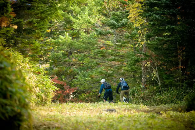 Mountain Biking Experience in Matsumoto