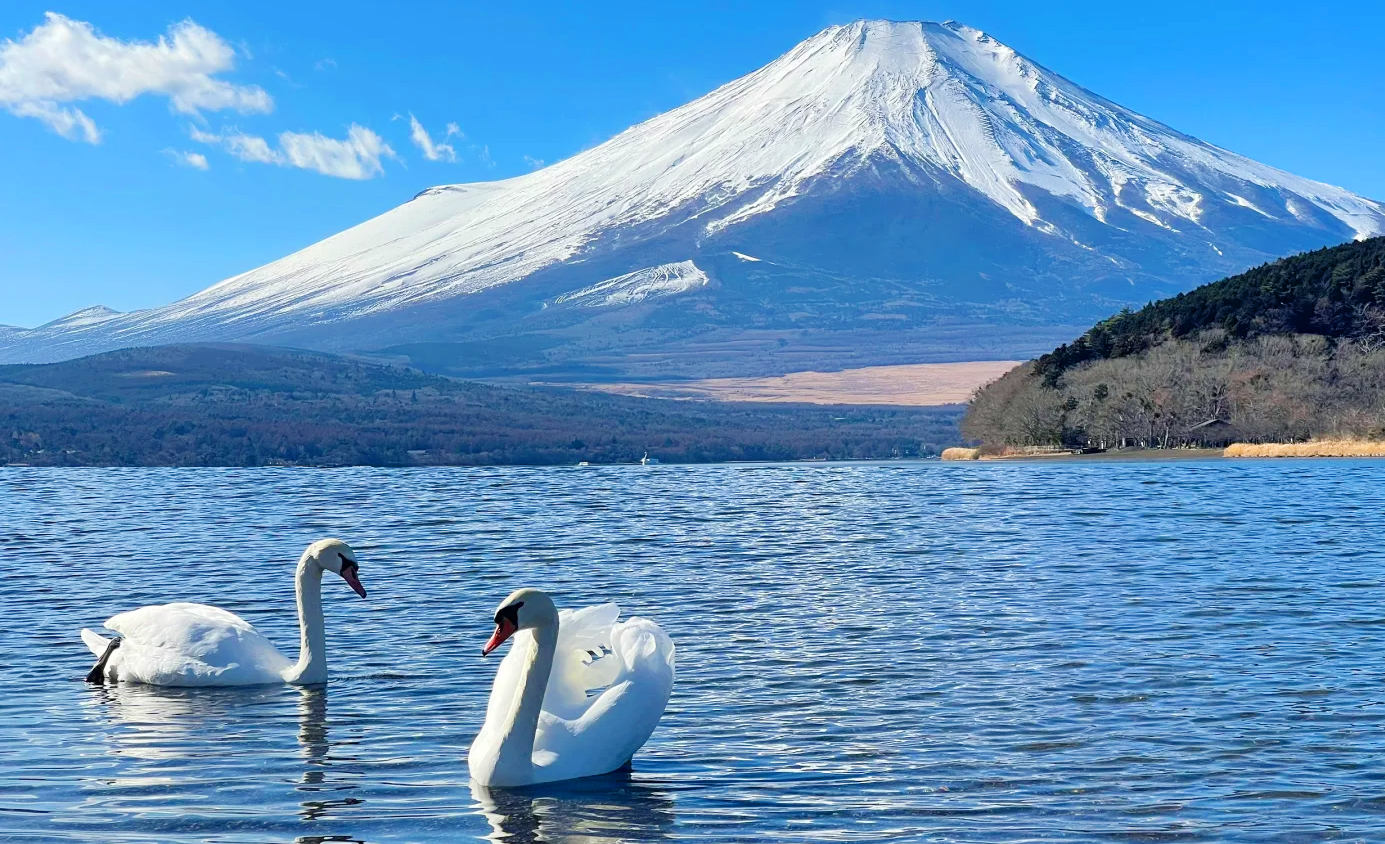 富士山經典一日遊｜富士山五合目+忍野八海+御殿場奧特萊斯/溫泉（二選一）
