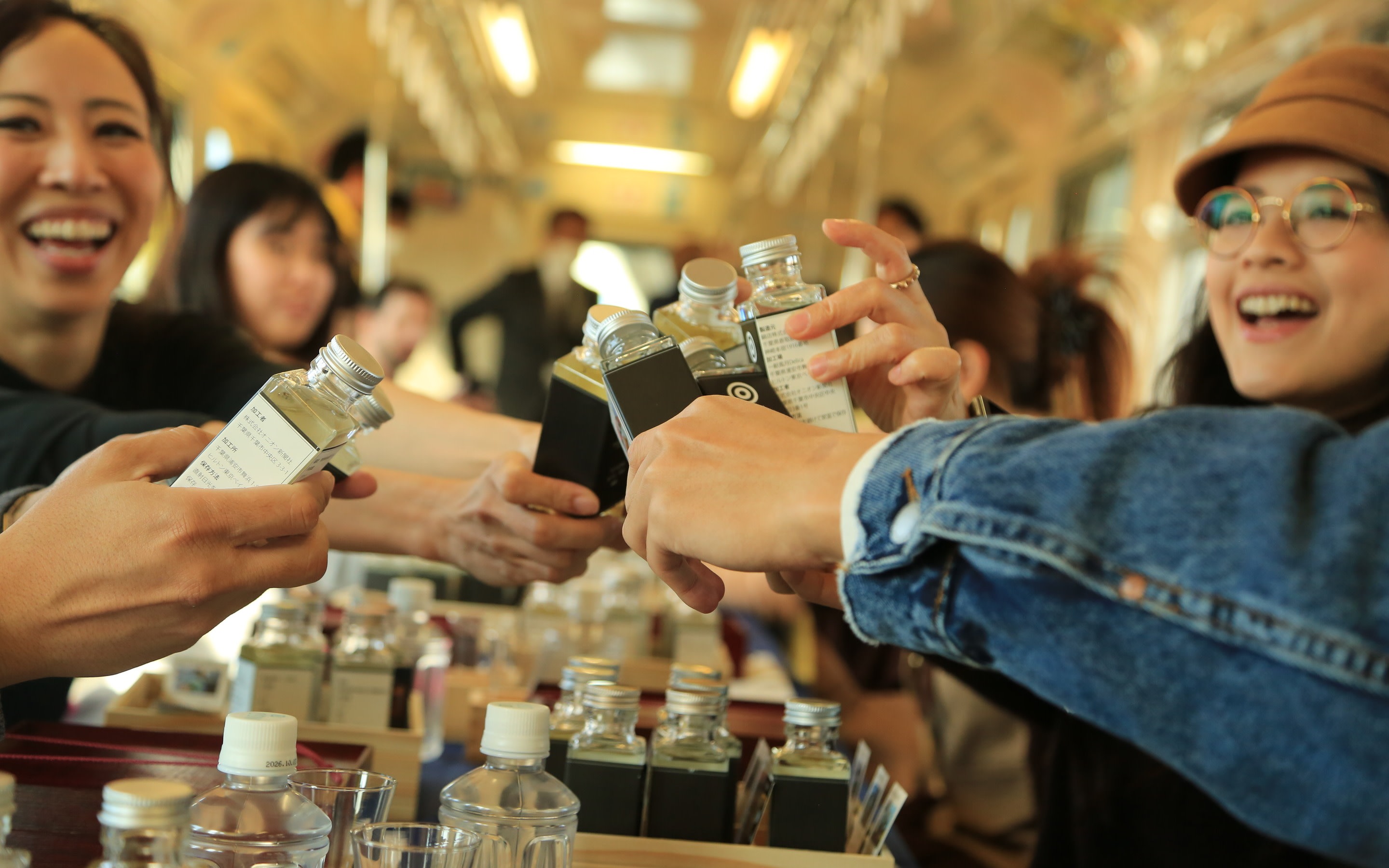 Chiba Monorail Charter & Castle Half-Day Tour with Falconry