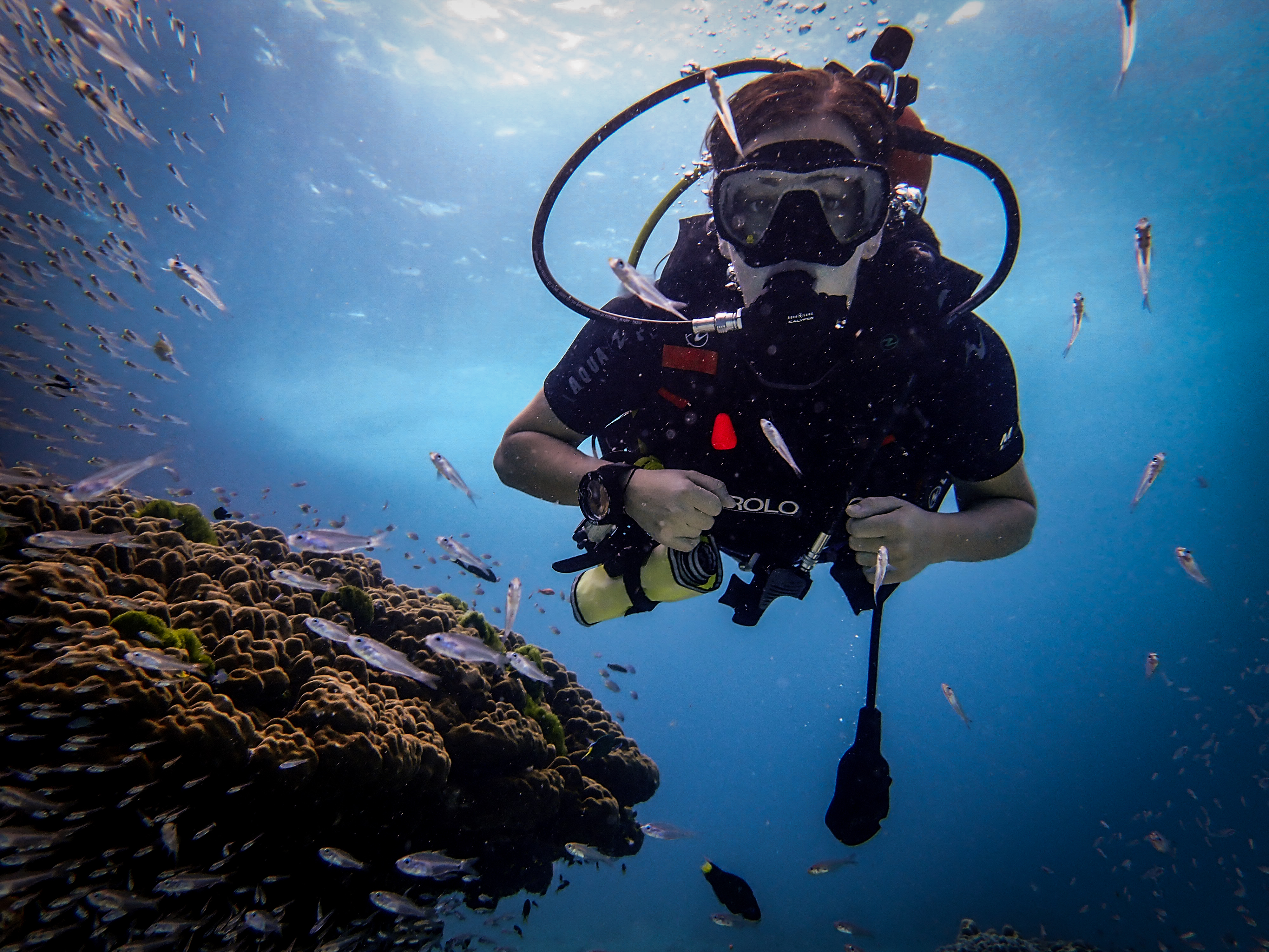 普吉島PADI五星級潛水中心水肺潛水首次體驗