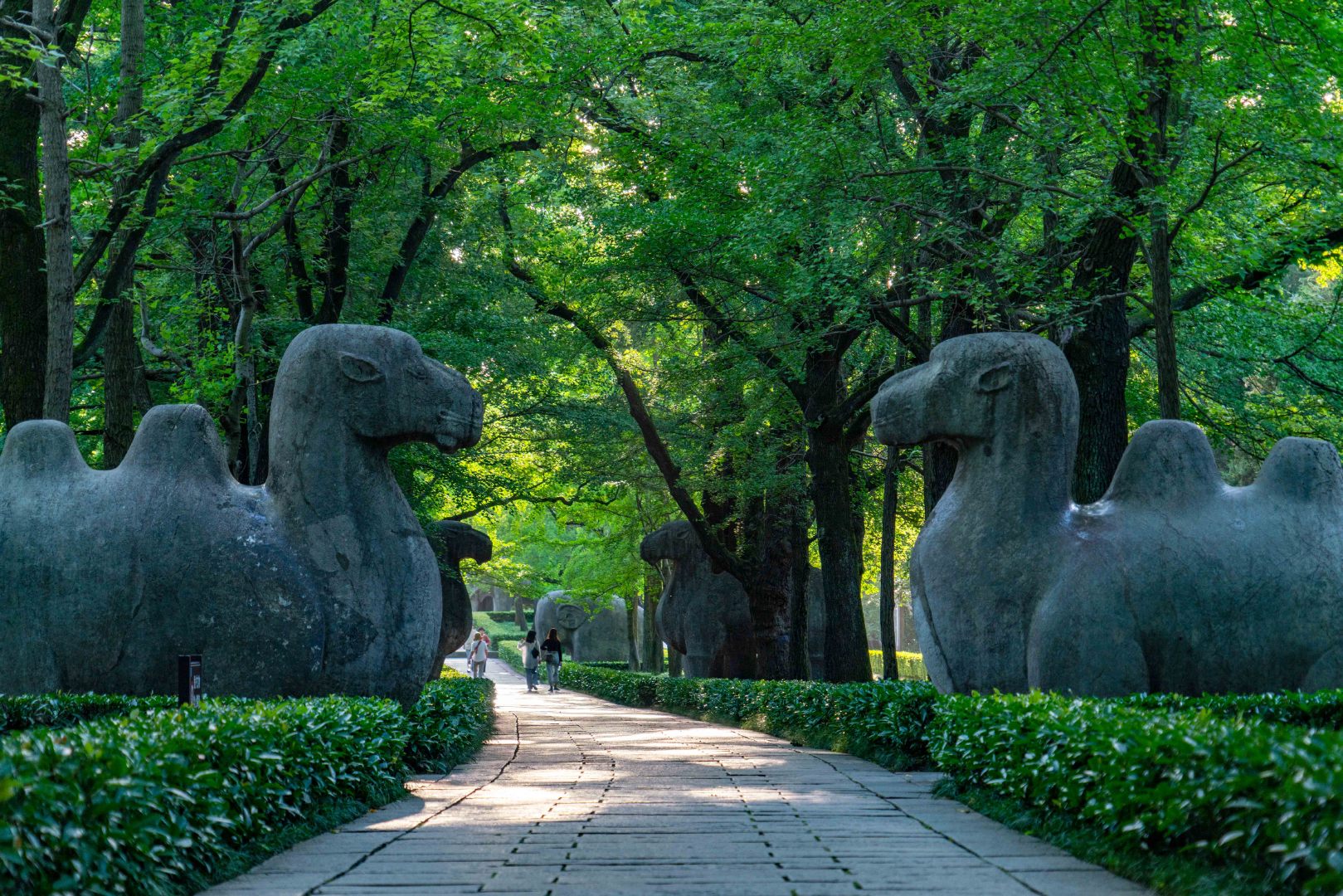 南京私人導覽一日遊 明孝陵 中華門 瞻園 雞鳴寺 玄武湖