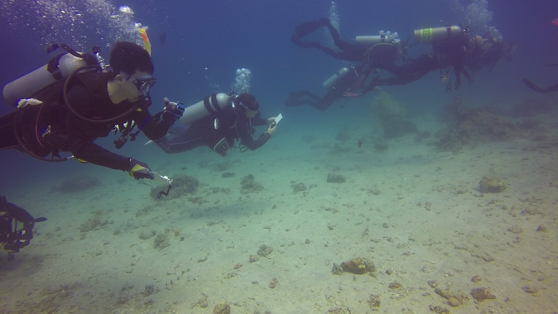 馬尼拉PADI高氧潛水體驗（PADI五星級潛水中心）
