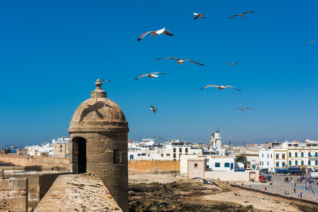 Discover Essaouira: Guided Day Trip from Marrakech 