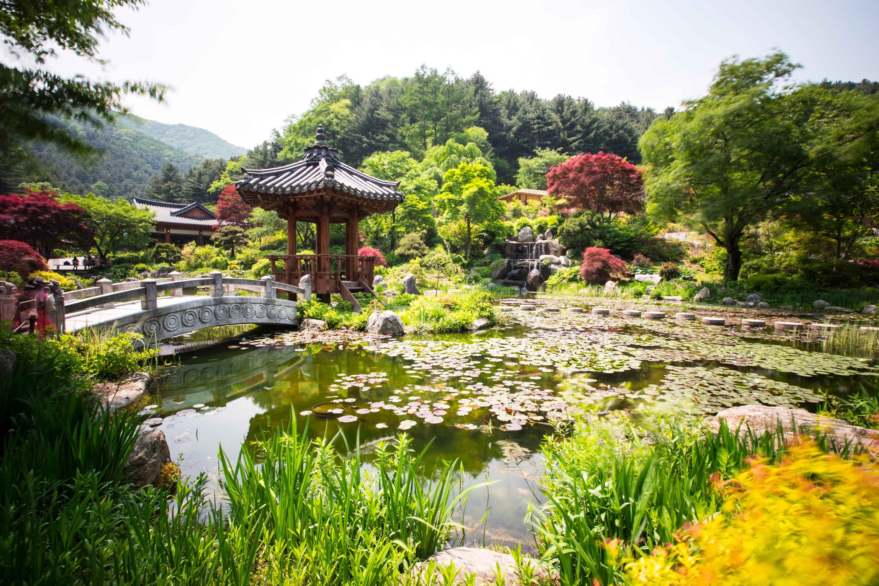 晨靜樹木園是自然寧靜之美
一個位于山中的美麗花園，擁有季節性鮮花、風景優美的道路和寧靜的氛圍。