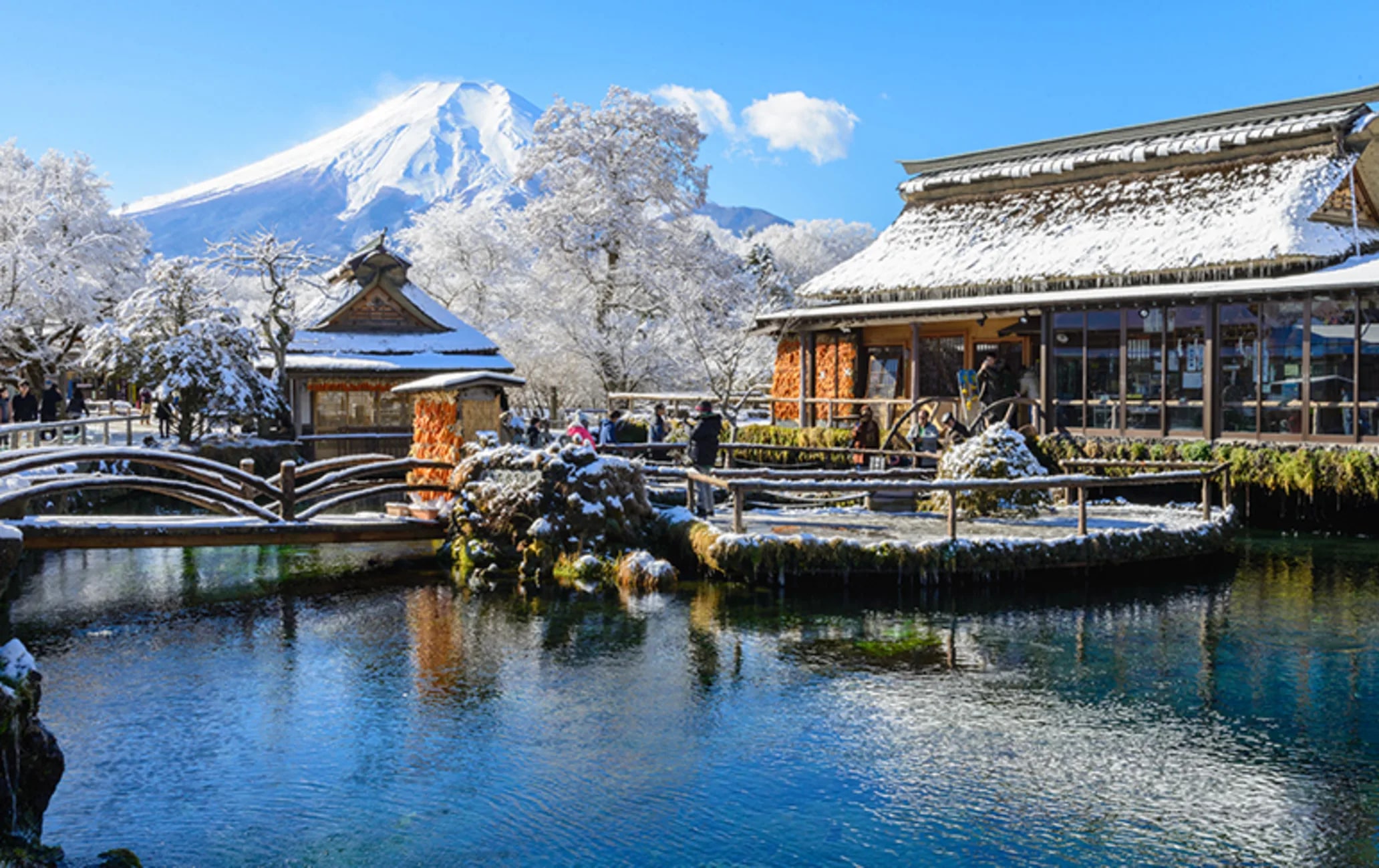 5天4夜日本東京-山梨縣-富士山-成田往返胡志明市之旅