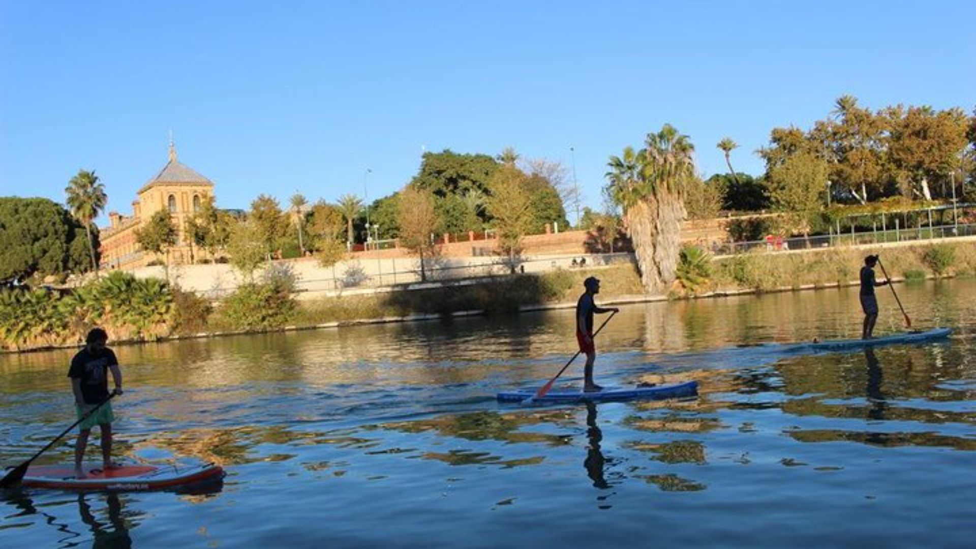 Enjoy a fun and active tour that combines paddle surfing with breathtaking city views