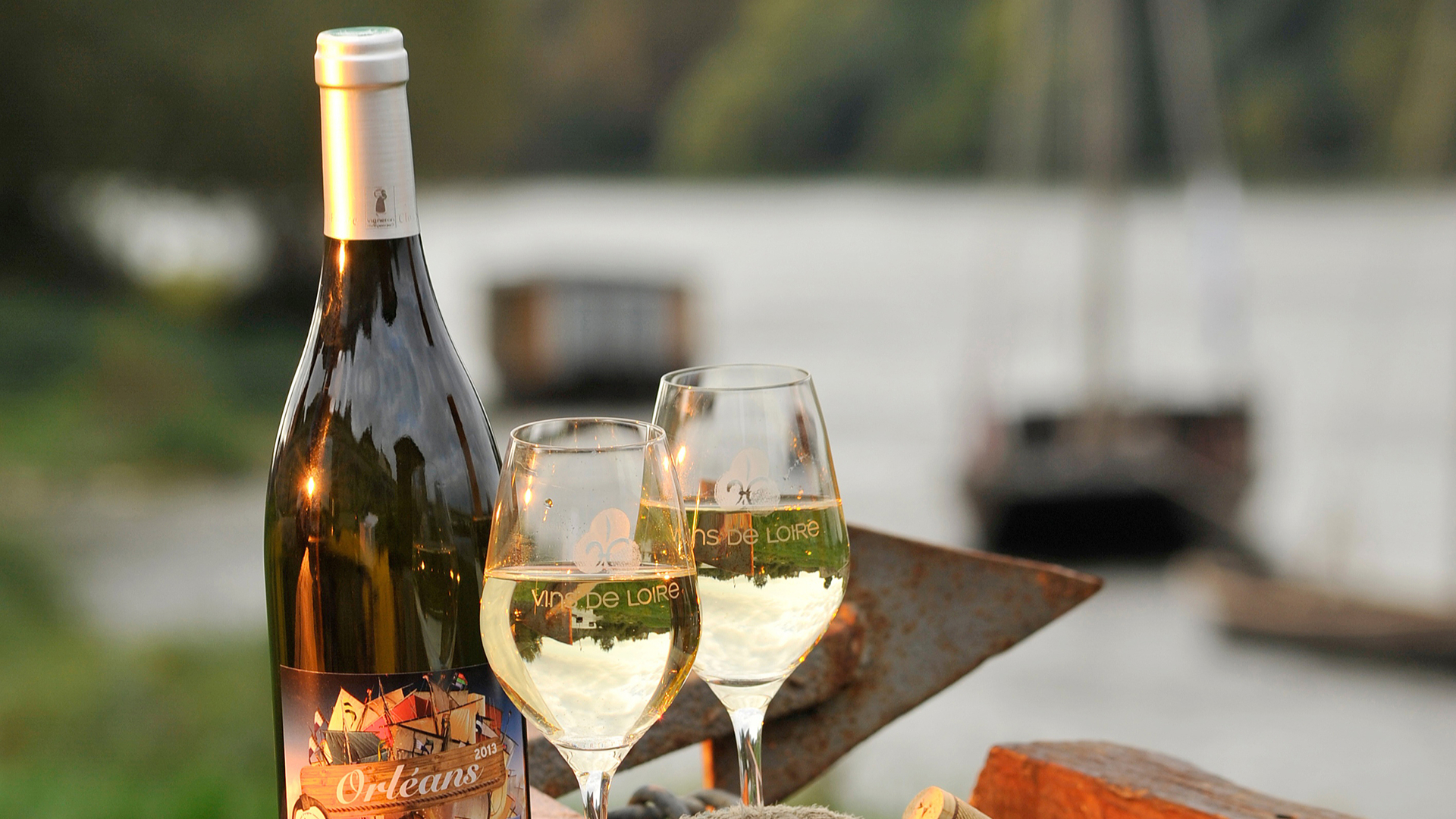 Loire Valley Full Day Wine Tour from Tours 