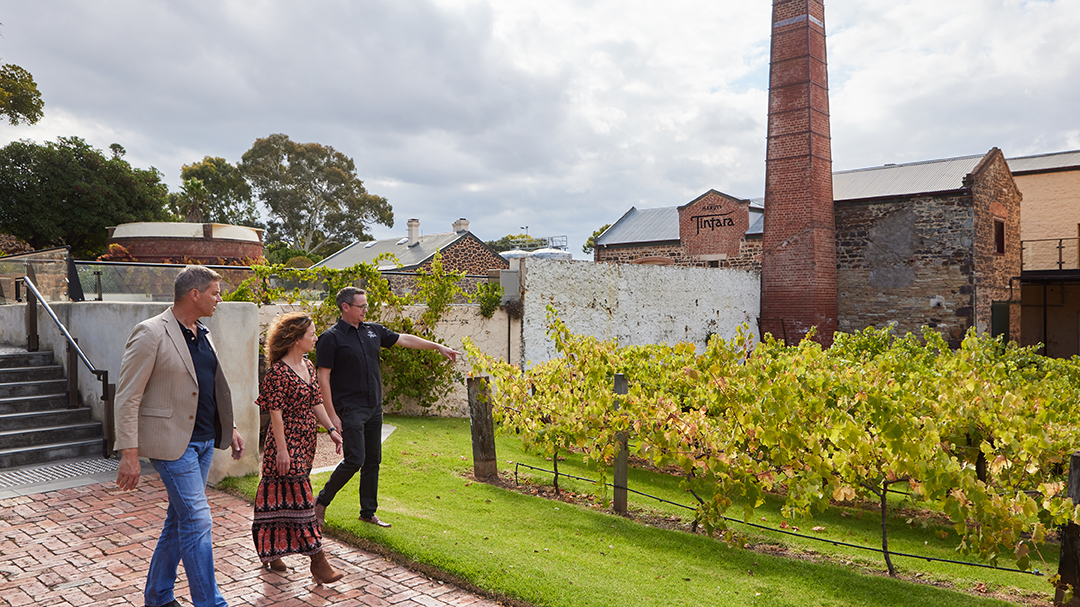 Hardys Winery Behind the Scenes Tour and Tasting in Adelaide