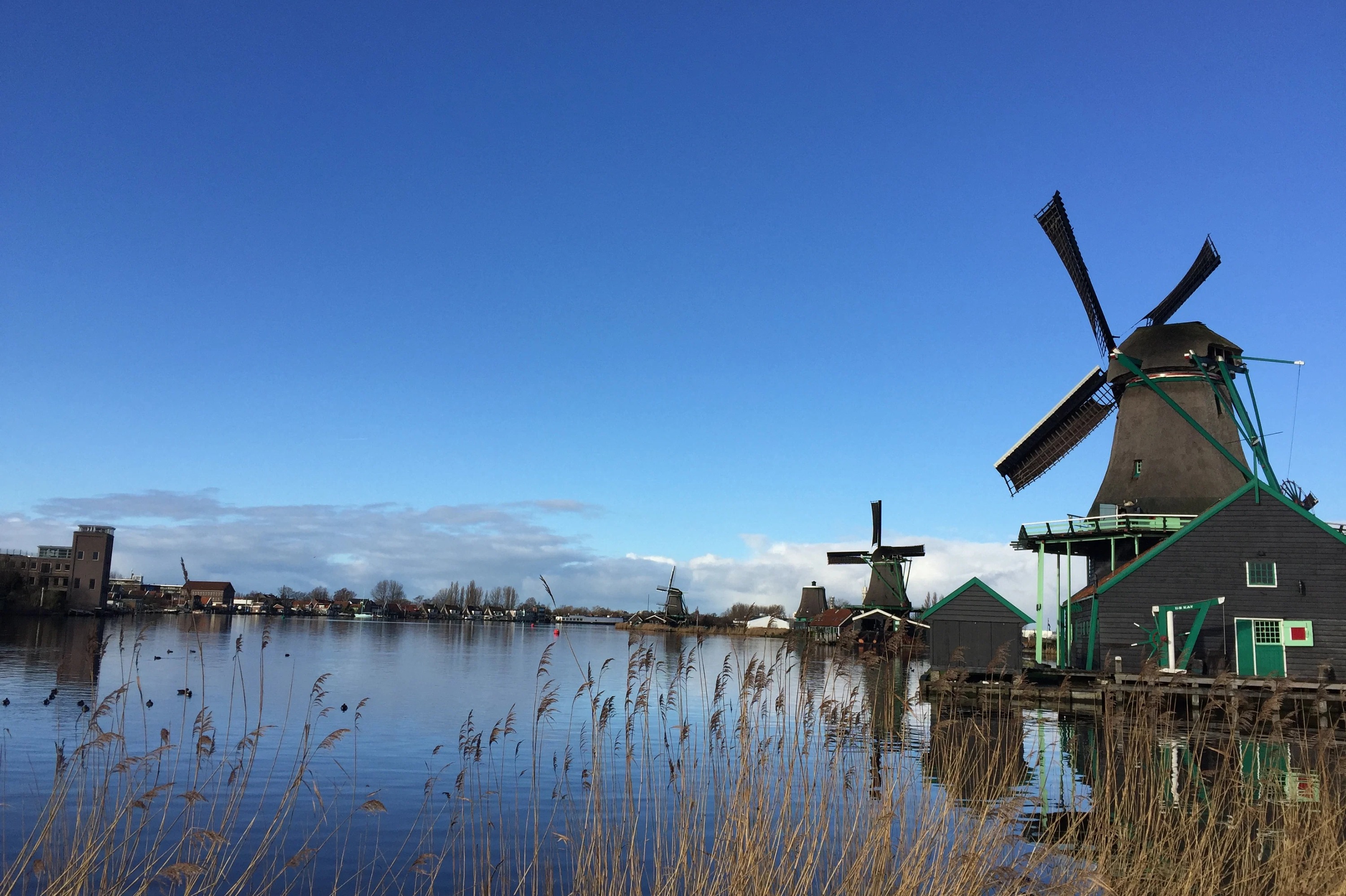 Zaanse Schans, Edam, & Marken Guided Tour from Amsterdam