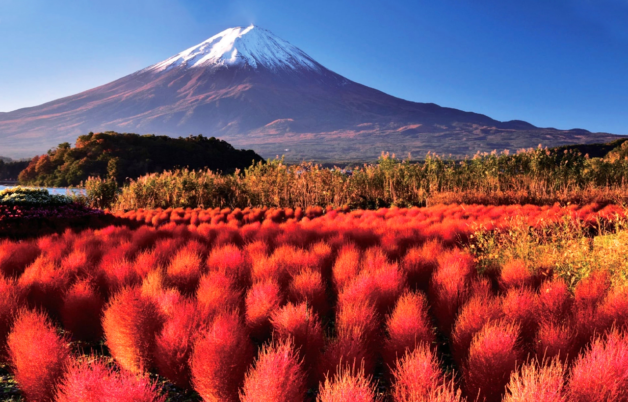 Mount Fuji Arakurayama Sengen Park | Hikawa Watch Shop | Oshino Shinobi Village | New Internet celebrity one-day tour