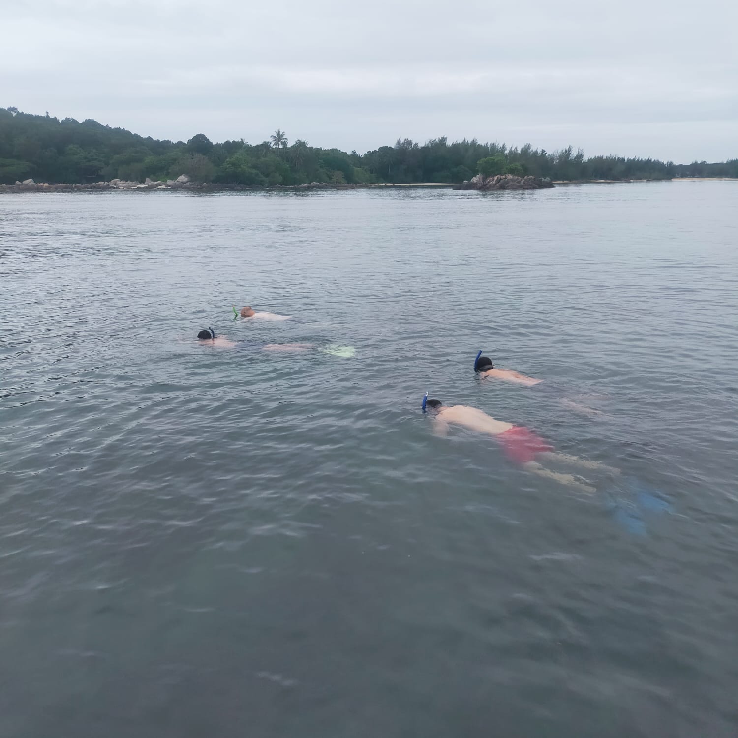 Snorkeling Tour at Bintan Resort Area by Taxi Bintan Island