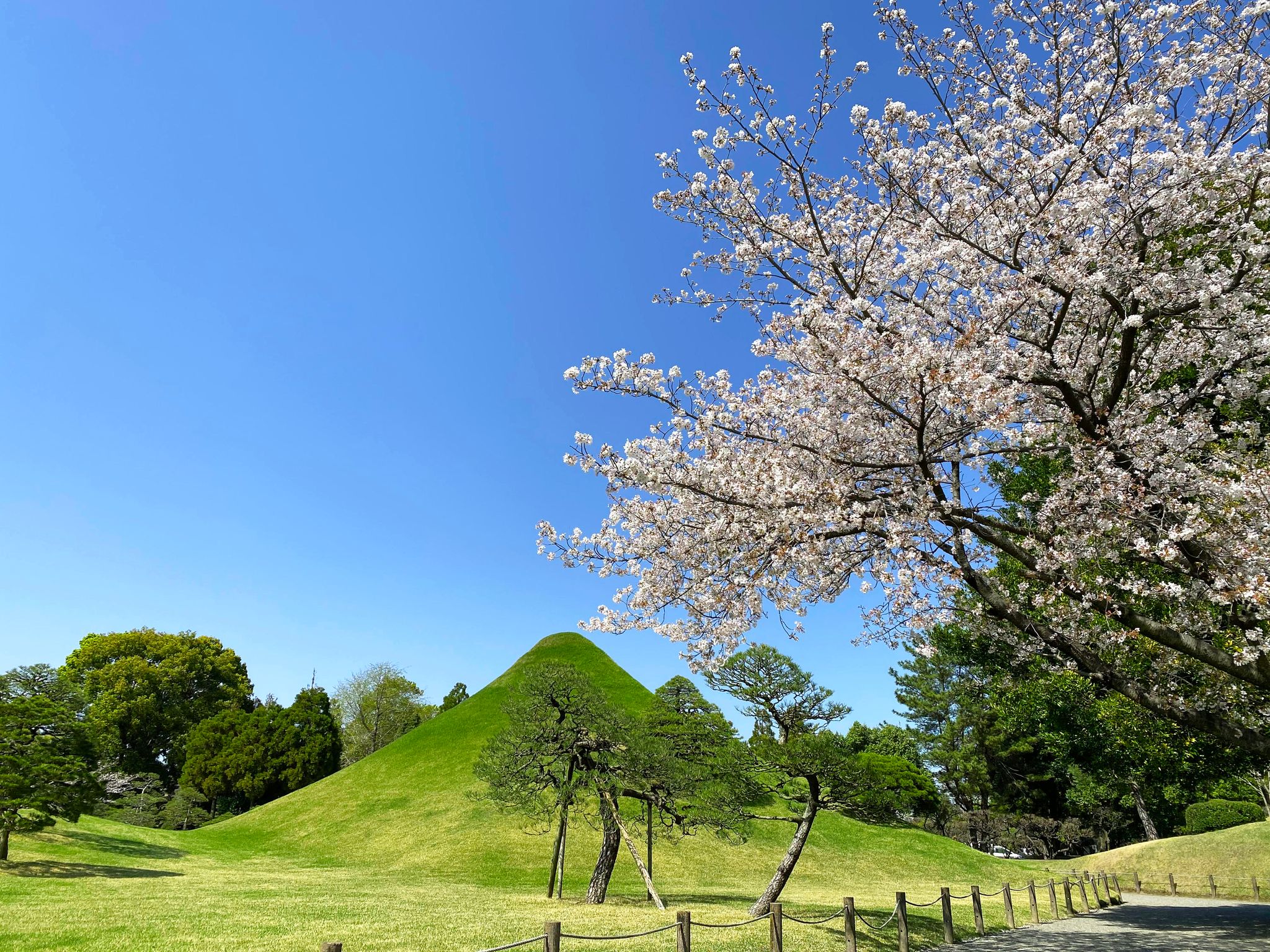 熊本縣：細川盆石藝術和水前寺成趣園