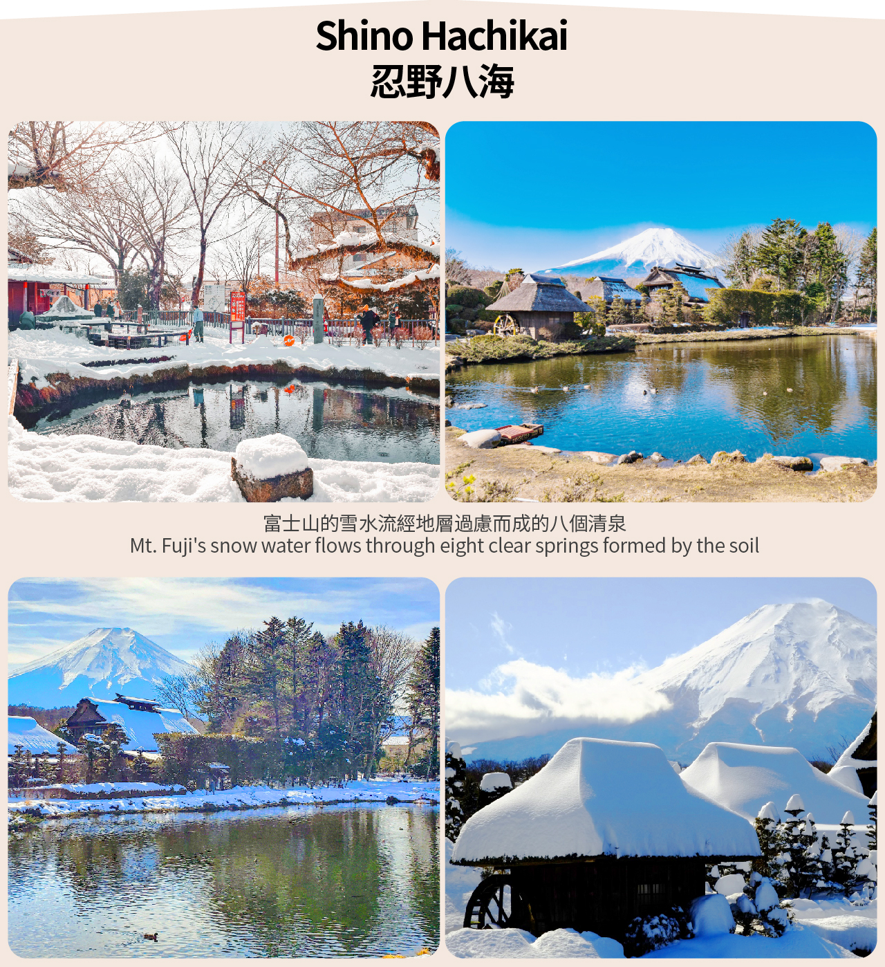 【富士山觀光纜車體驗打卡一日遊含午餐選項】羅森便利店&河口湖抹茶體驗&河口湖全景山纜車&忍野八海（東京出發）