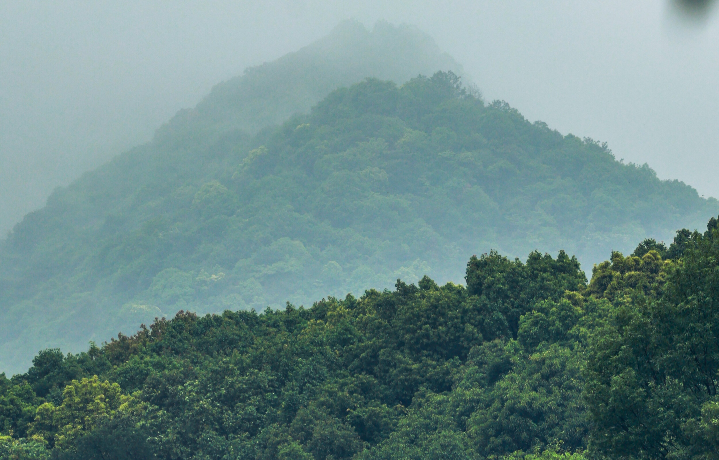 徒步途中美景 徒步途中美景