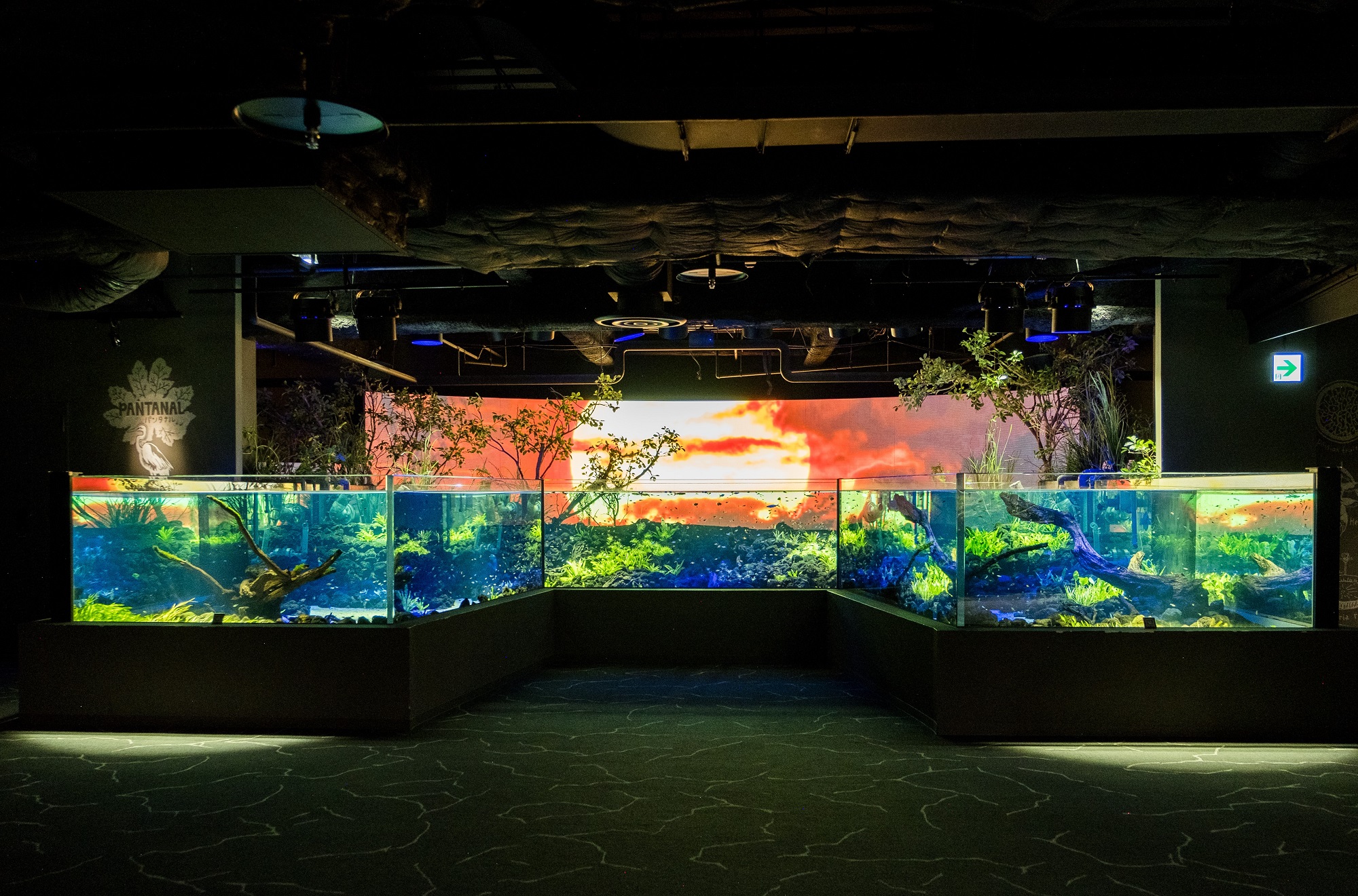 神奈川川崎水族館（Kawasui Kawasaki Aquarium）門票