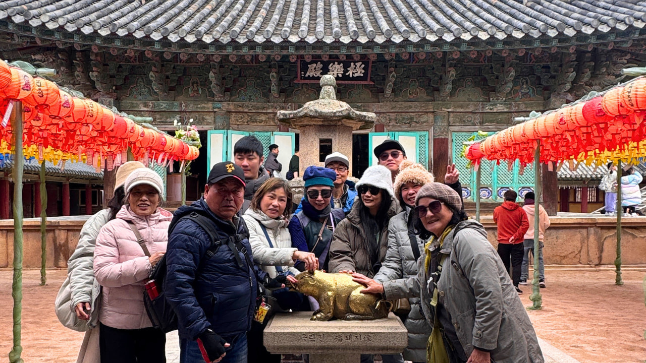 一個秘密的幸運符！找到並觸摸隱藏的金豬，以獲得財富和繁榮——這是當地必做的傳統。