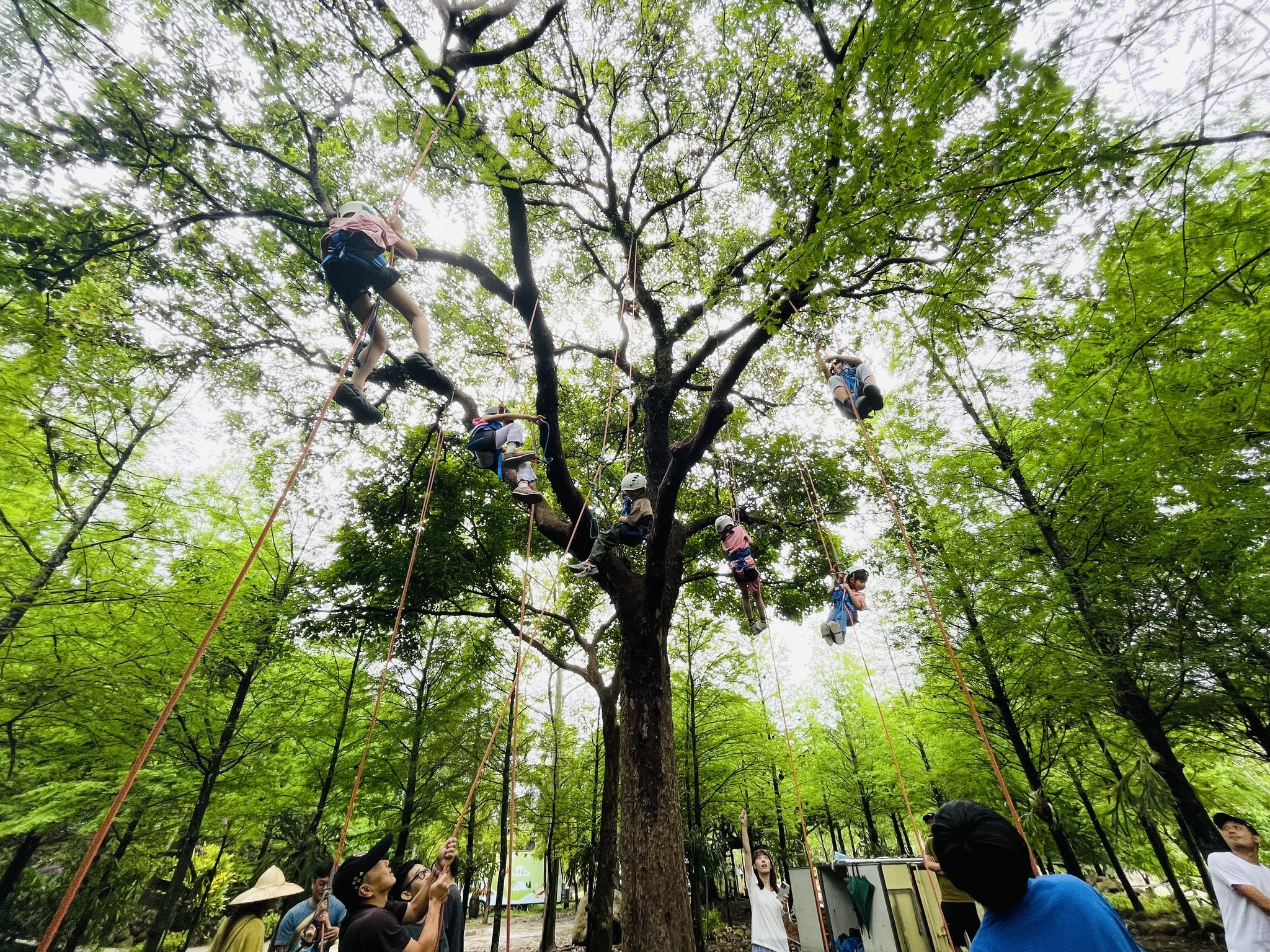 Dream Forest Living Ecology Exploration & Tree Climbing Experience · Lazy River - Siraya National Scenic Area