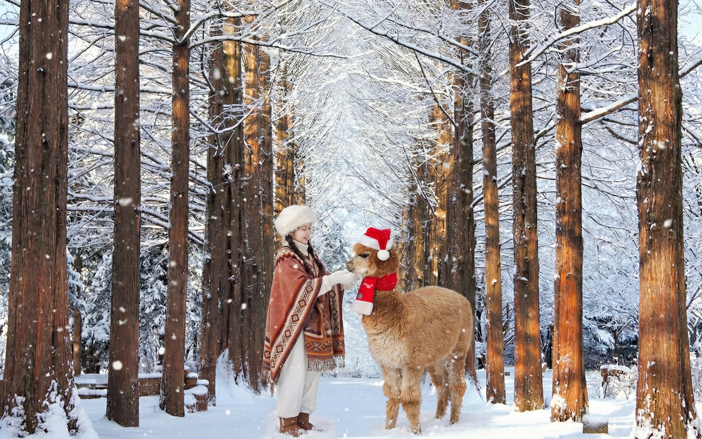 Nami / Alpaca/ Railbike/ Petite France/ Morning Calm/ Begonia Tour