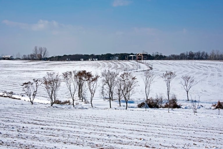 冬季時分，白雪皚皚的山丘展現寧靜之美。