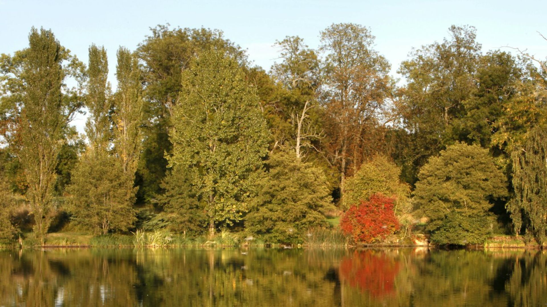 凡爾賽-謝夫勒盧樹木園 (Arboretum de Versailles-Chevreloup) 門票（羅肯庫爾）