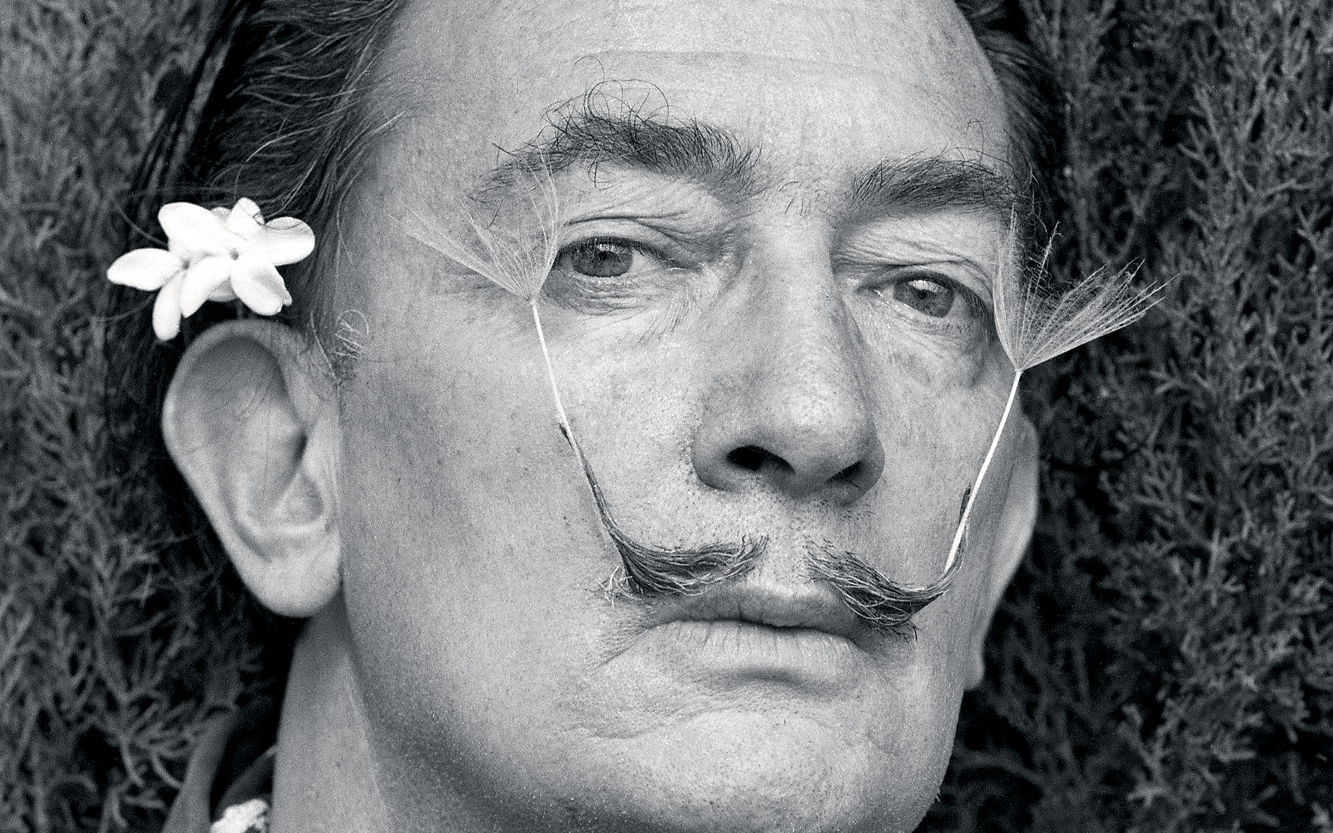 "Dali x Old City Hall: Departure" exhibition ticket