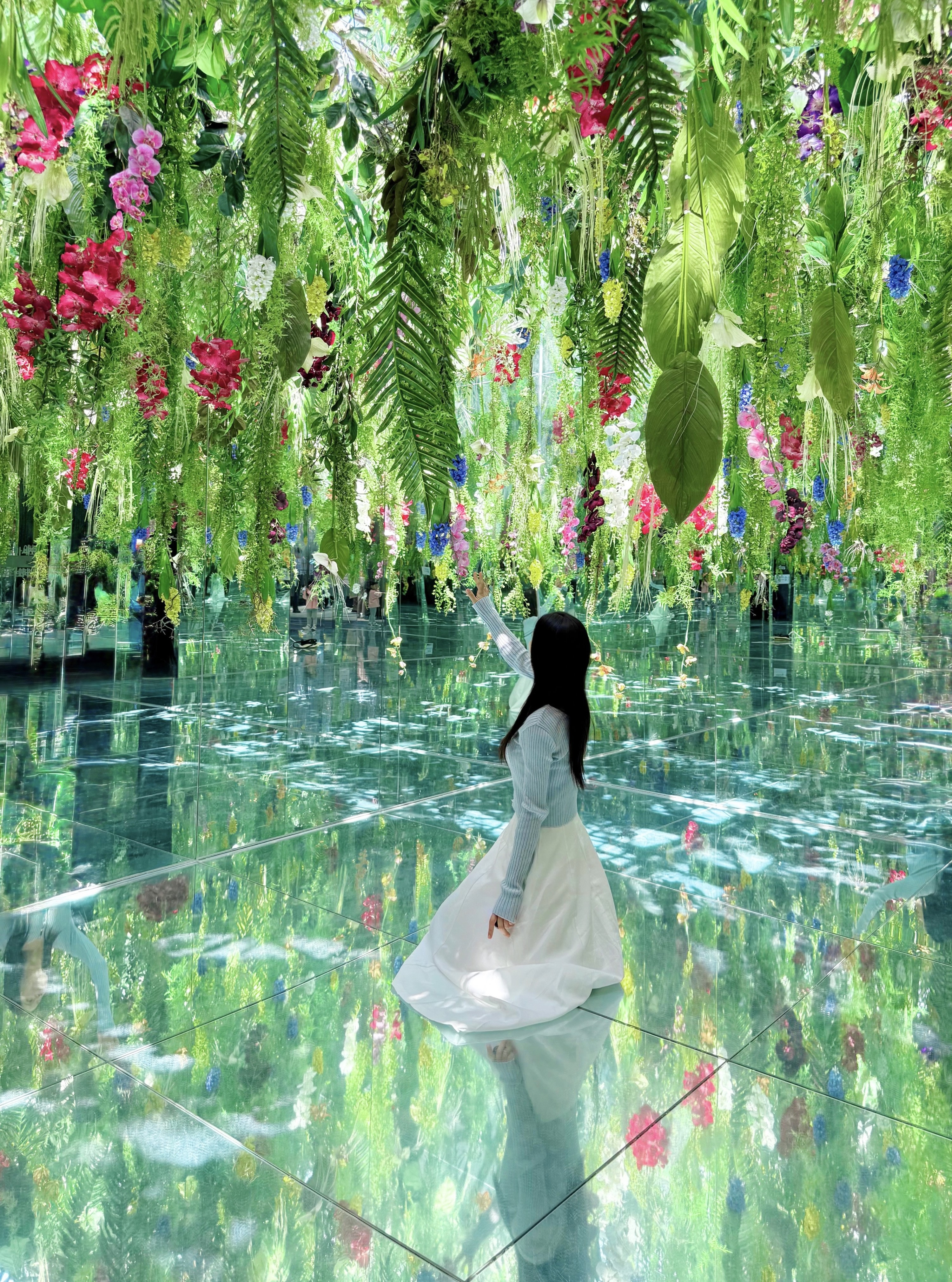 Gyeonggi Begonia Bird Park Ticket