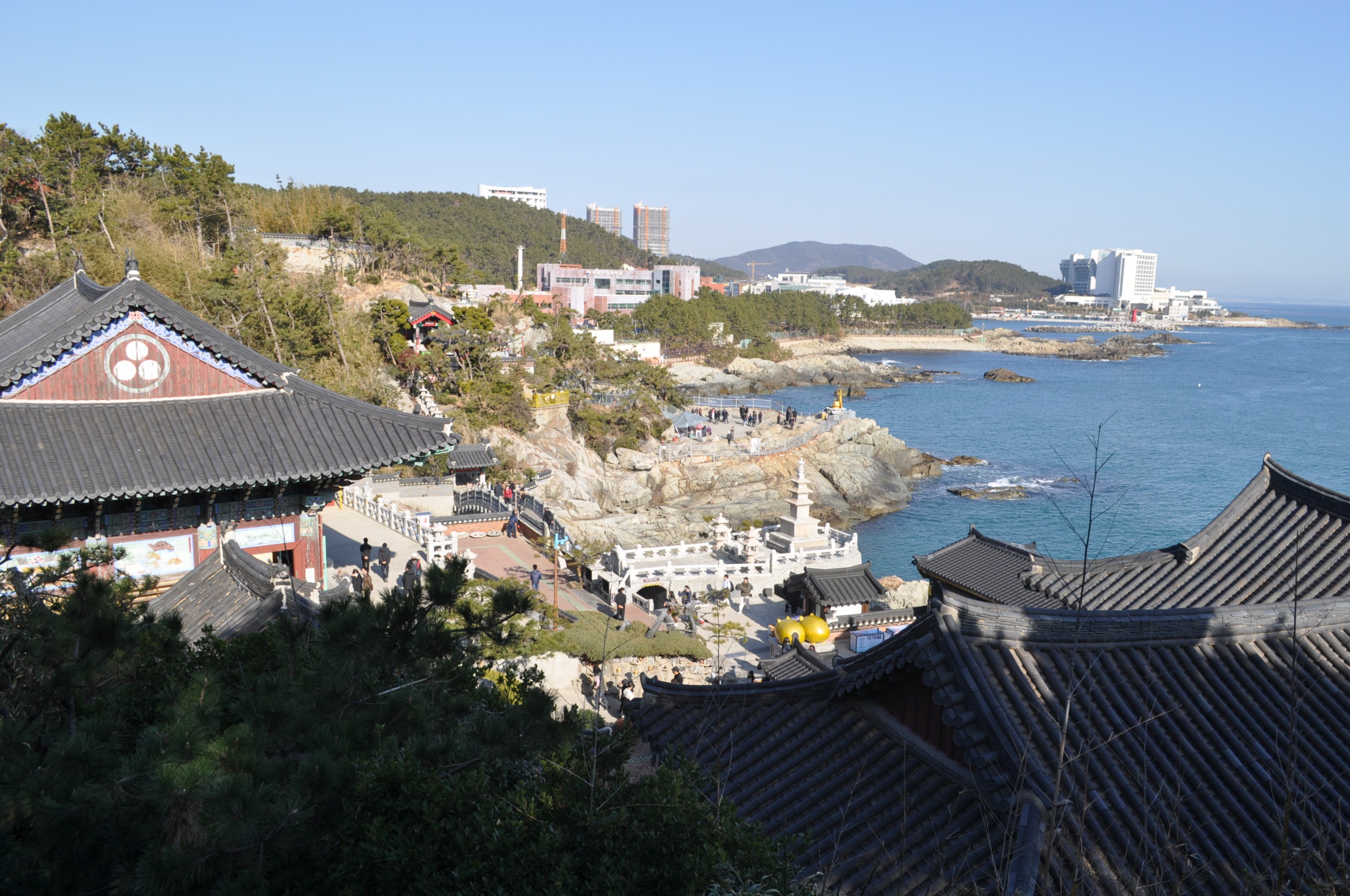 海東龍宮寺・海雲台海辺列車 半日ツアー（釜山発）