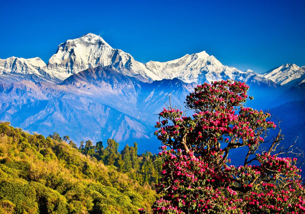Ghorepani Poon Hill Trek - Nepal