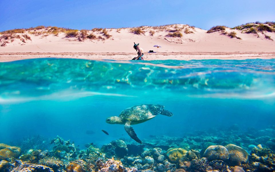 Hurghada: Giftun Island Tour with Snorkeling & Buffet Lunch