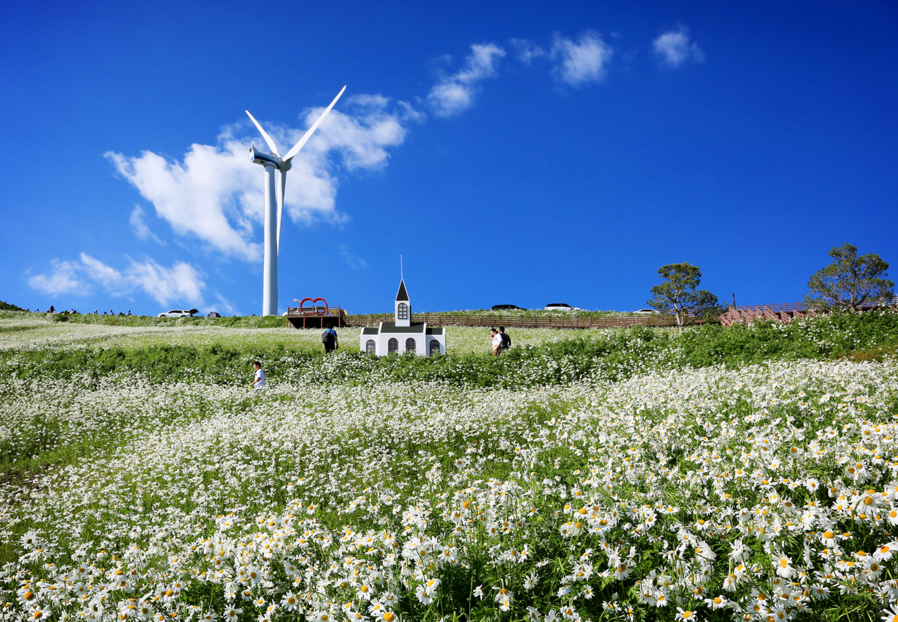 Cheongoksan Yukbaekmajigi