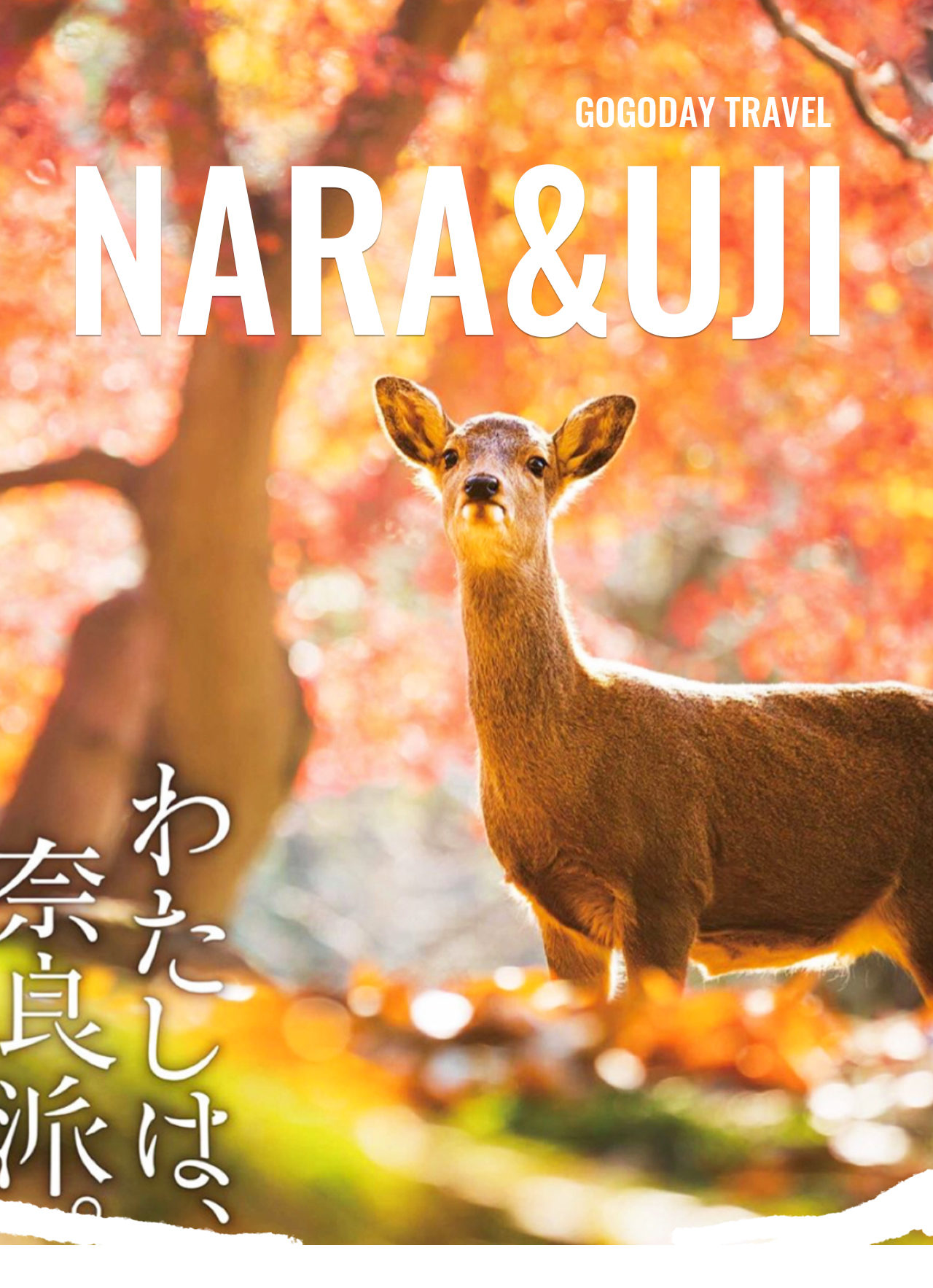 【奈良·宇治一日悠閒之旅】--與可愛小鹿親密互動、探訪世界文化遺產東大寺與春日大社、漫步宇治抹茶街品味千年茶香,還可任選泡湯放鬆身心,感受古都奈良與京都宇治的寧靜與浪漫。 【奈良·宇治一日悠閒之旅】--與可愛小鹿親密互動、探訪世界文化遺產東大寺與春日大社、漫步宇治抹茶街品味千年茶香,還可任選泡湯放鬆身心,感受古都奈良與京都宇治的寧靜與浪漫。