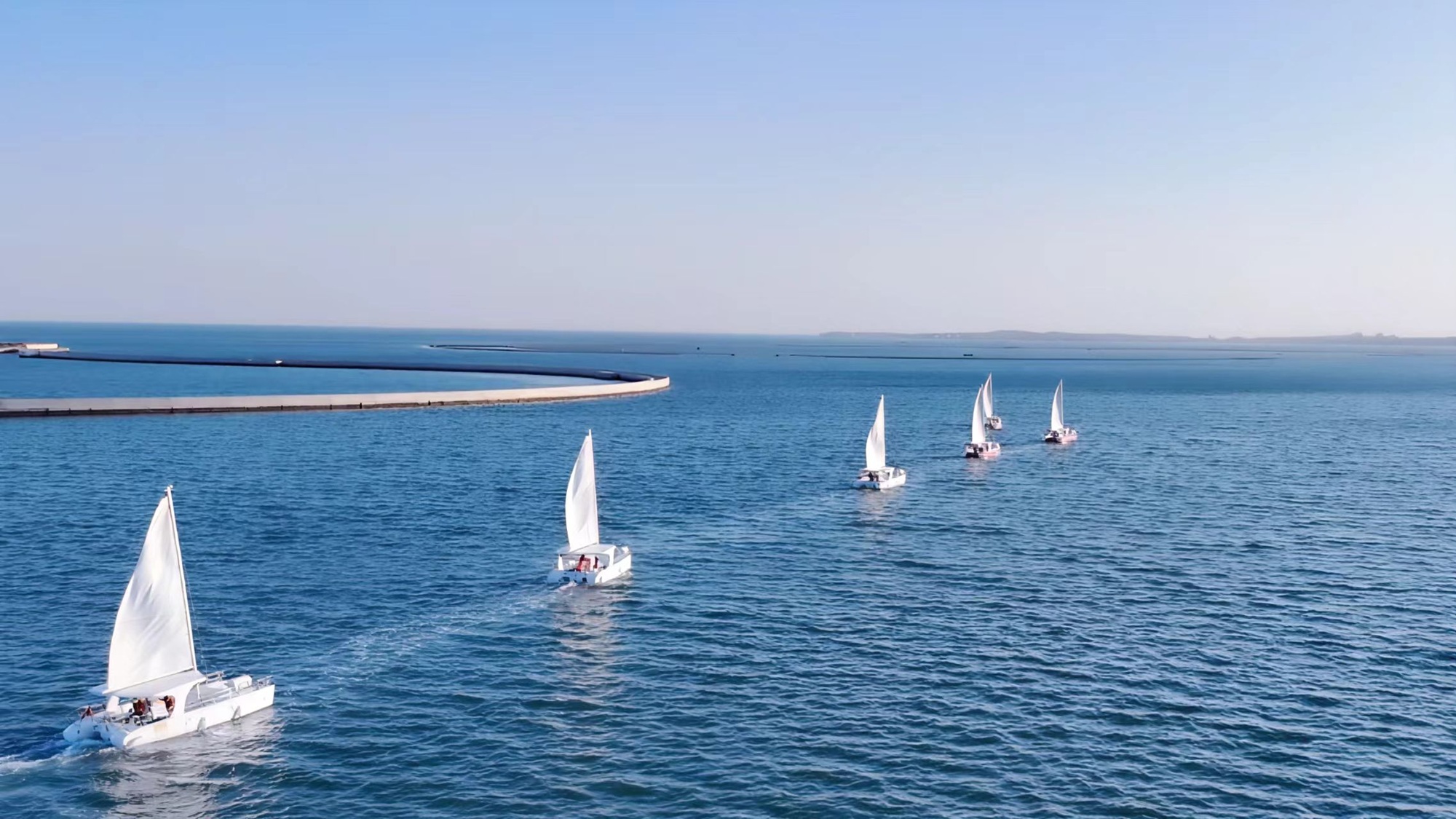 揚帆金夢海灣！伴海風賞壯闊海景，暢享帆船出海的自在樂趣