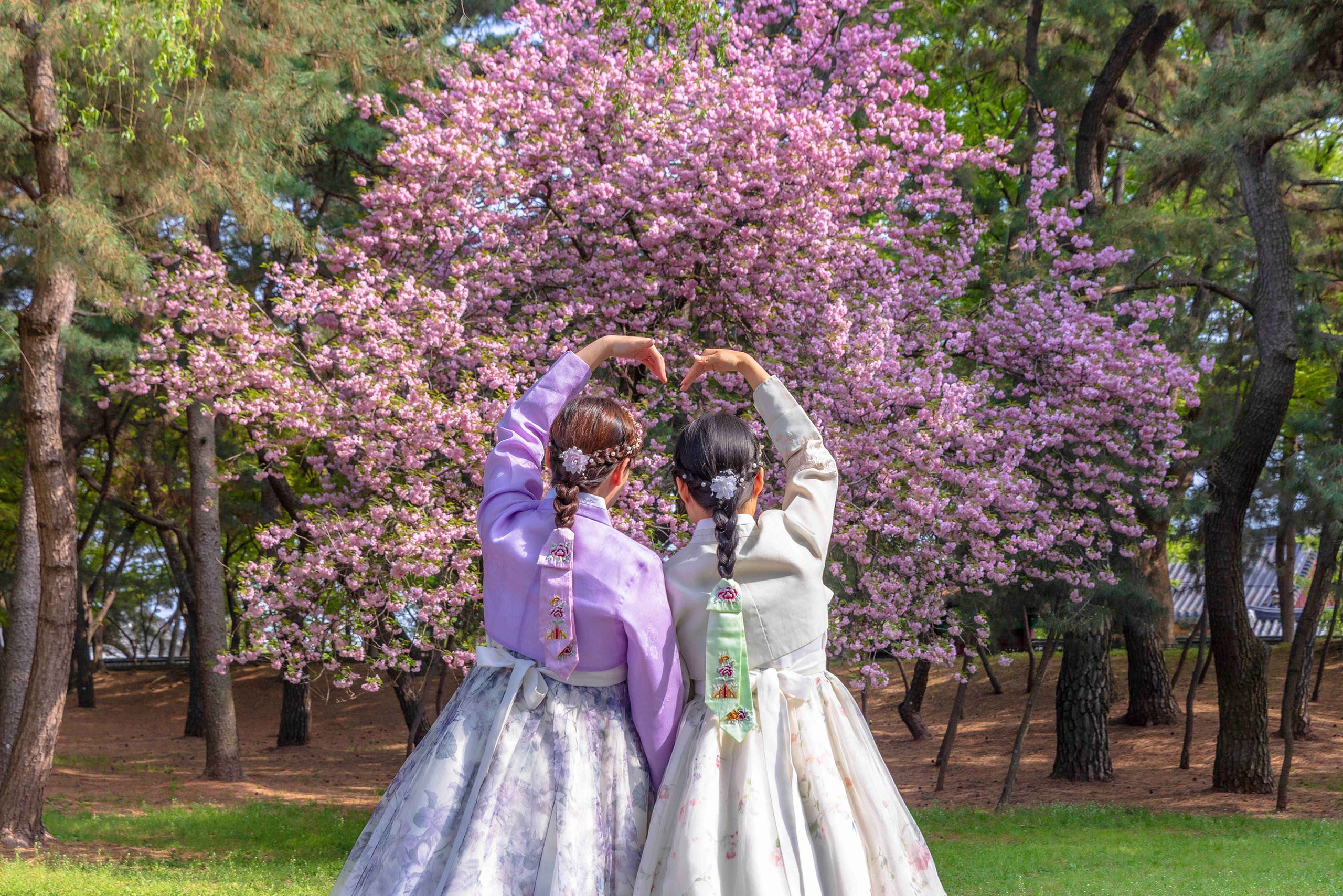 慶州最魔幻的春日時刻。