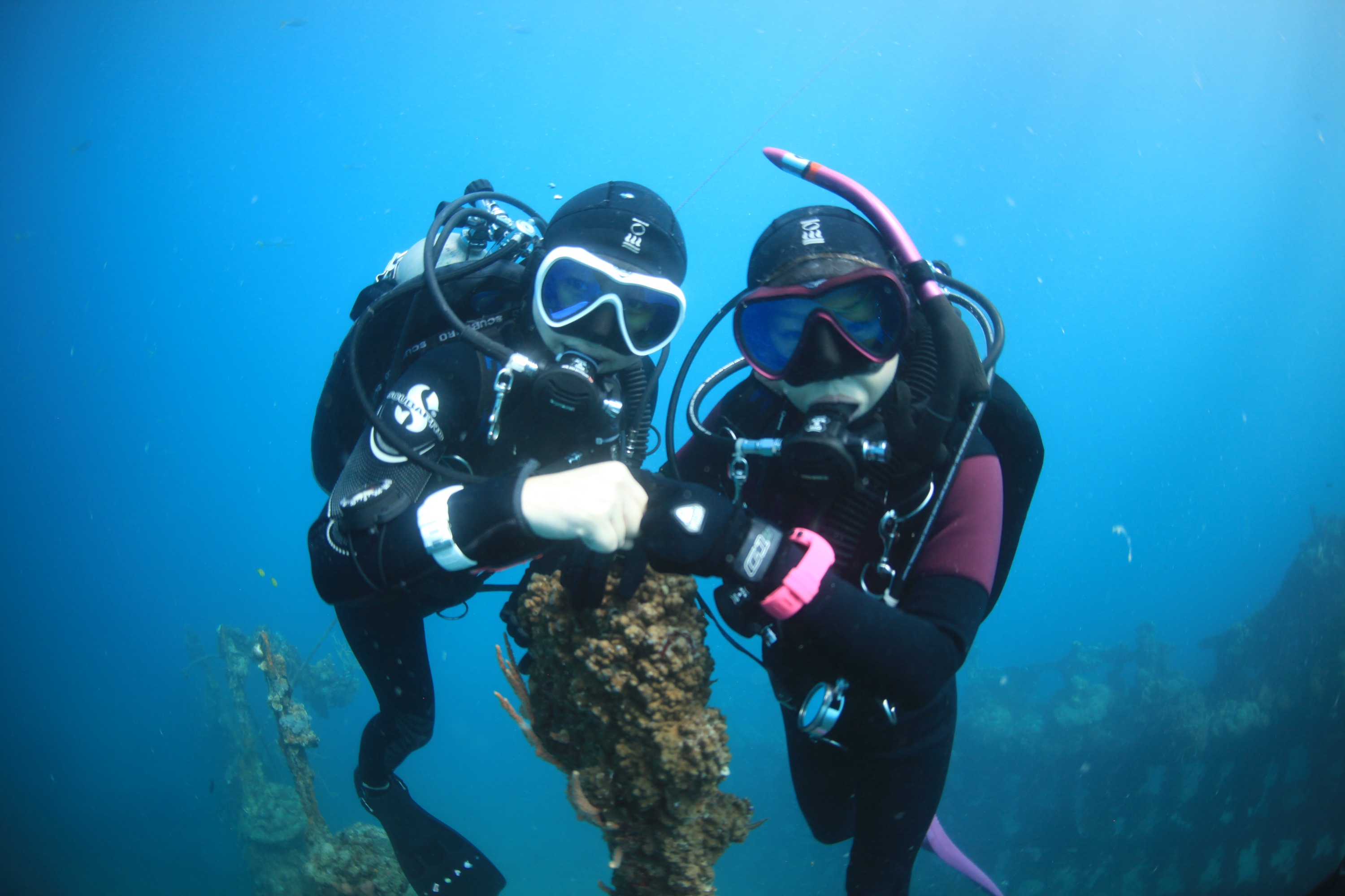 在海底發現神秘之美！今天，我們將用歡樂和冒險來充實您的一天。