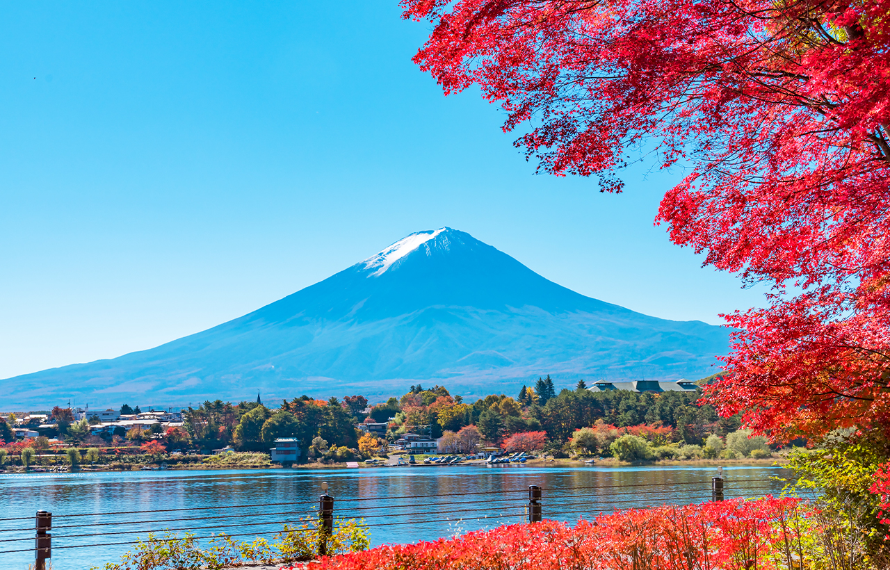 網紅打卡勝地-新倉山淺間公園&日川時計店&忍野八海&河口湖大石公園&河口湖楓葉迴廊
